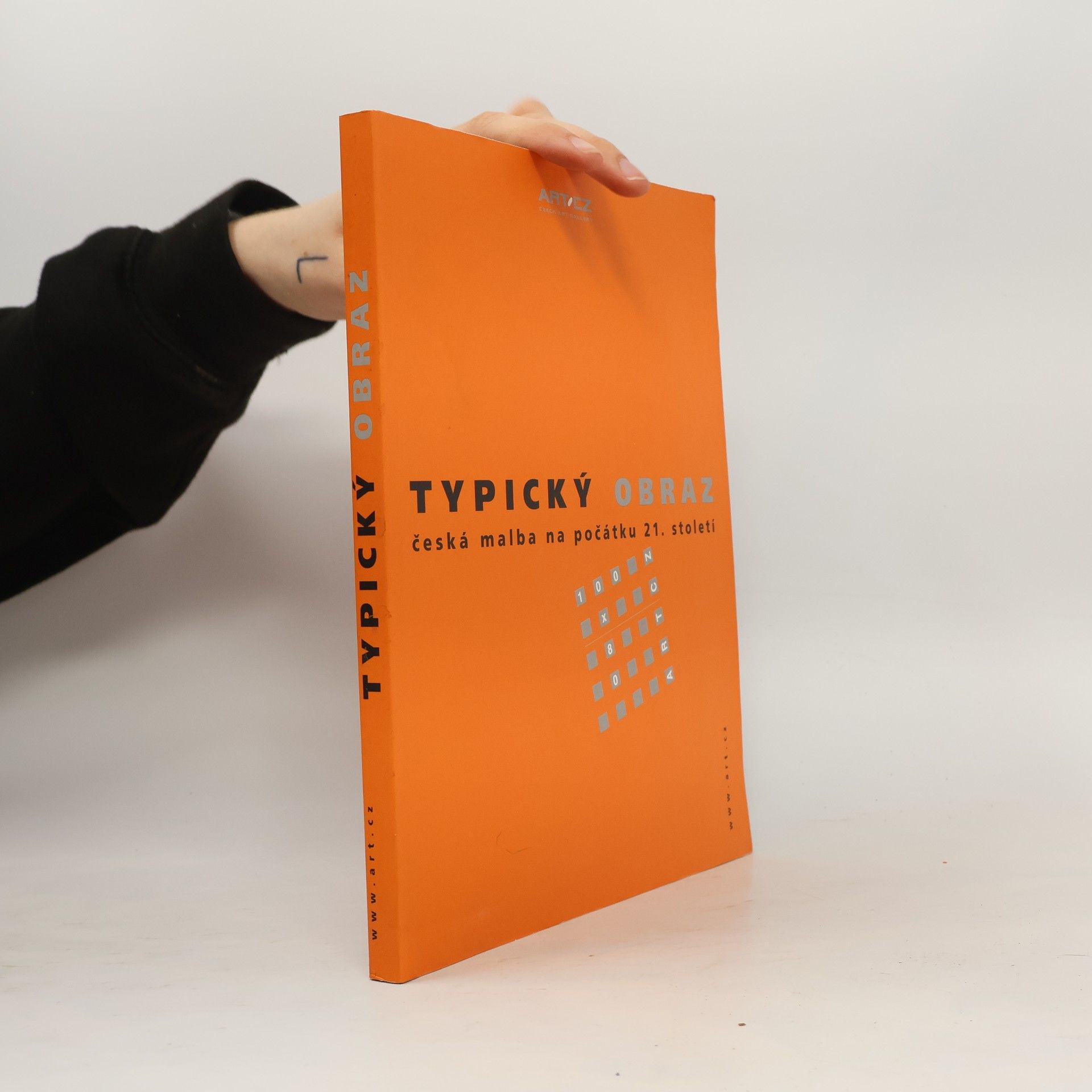 Kolektiv autorů Typický obraz. Česká malba na počátku 21. století