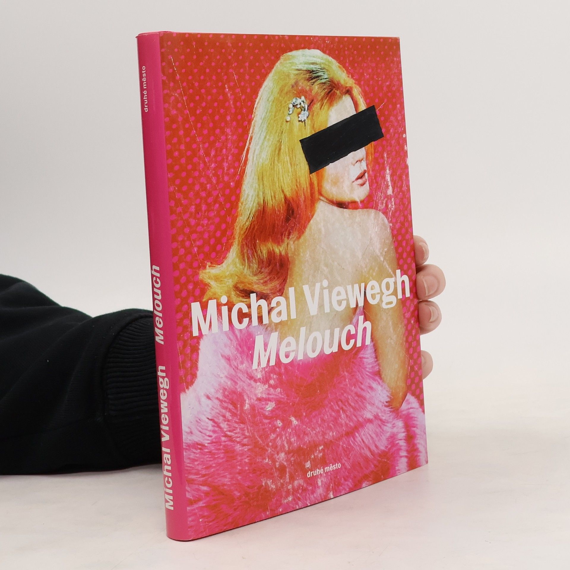 Michal Viewegh Melouch
