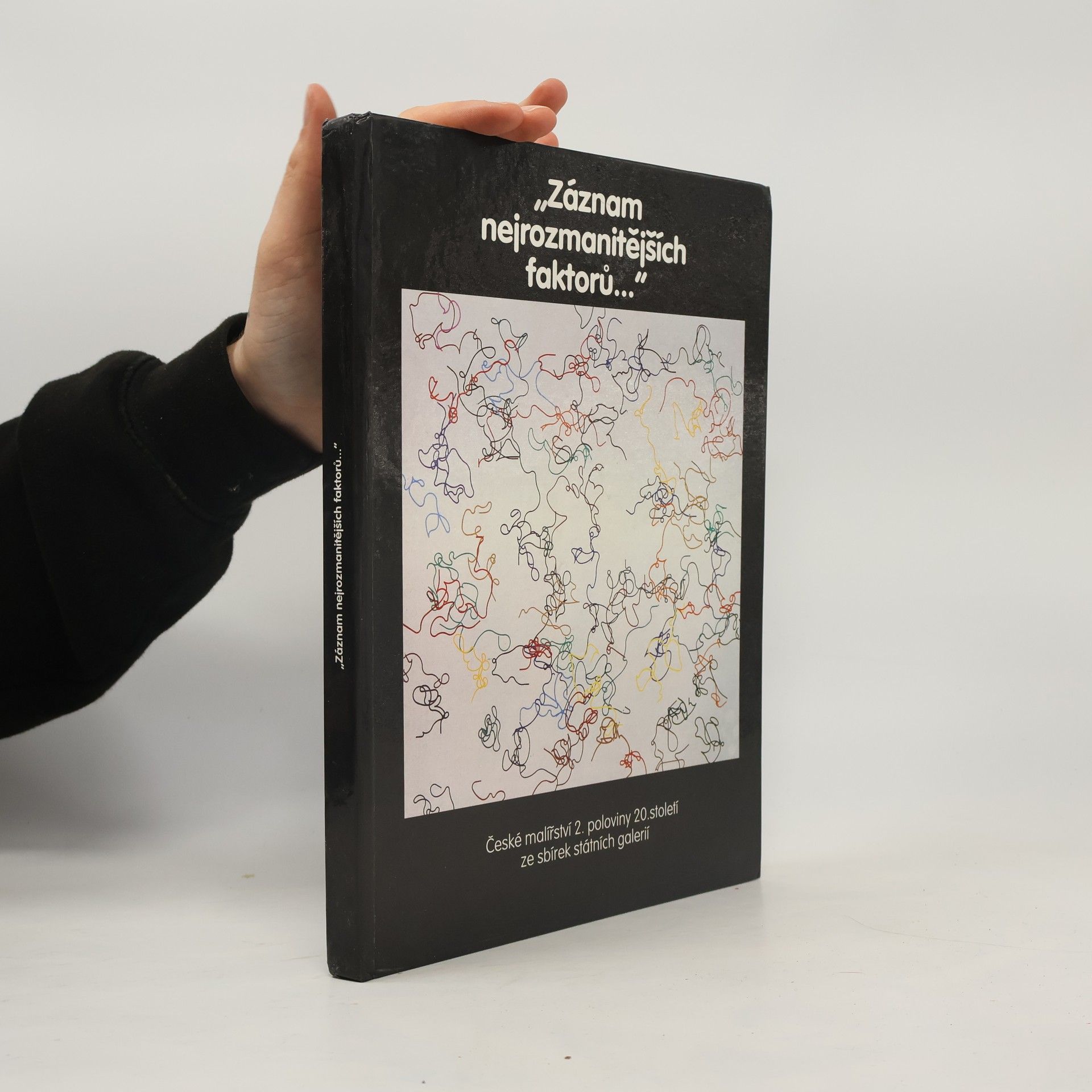 Autorenkollektiv Záznam nejrozmanitějších faktorů...