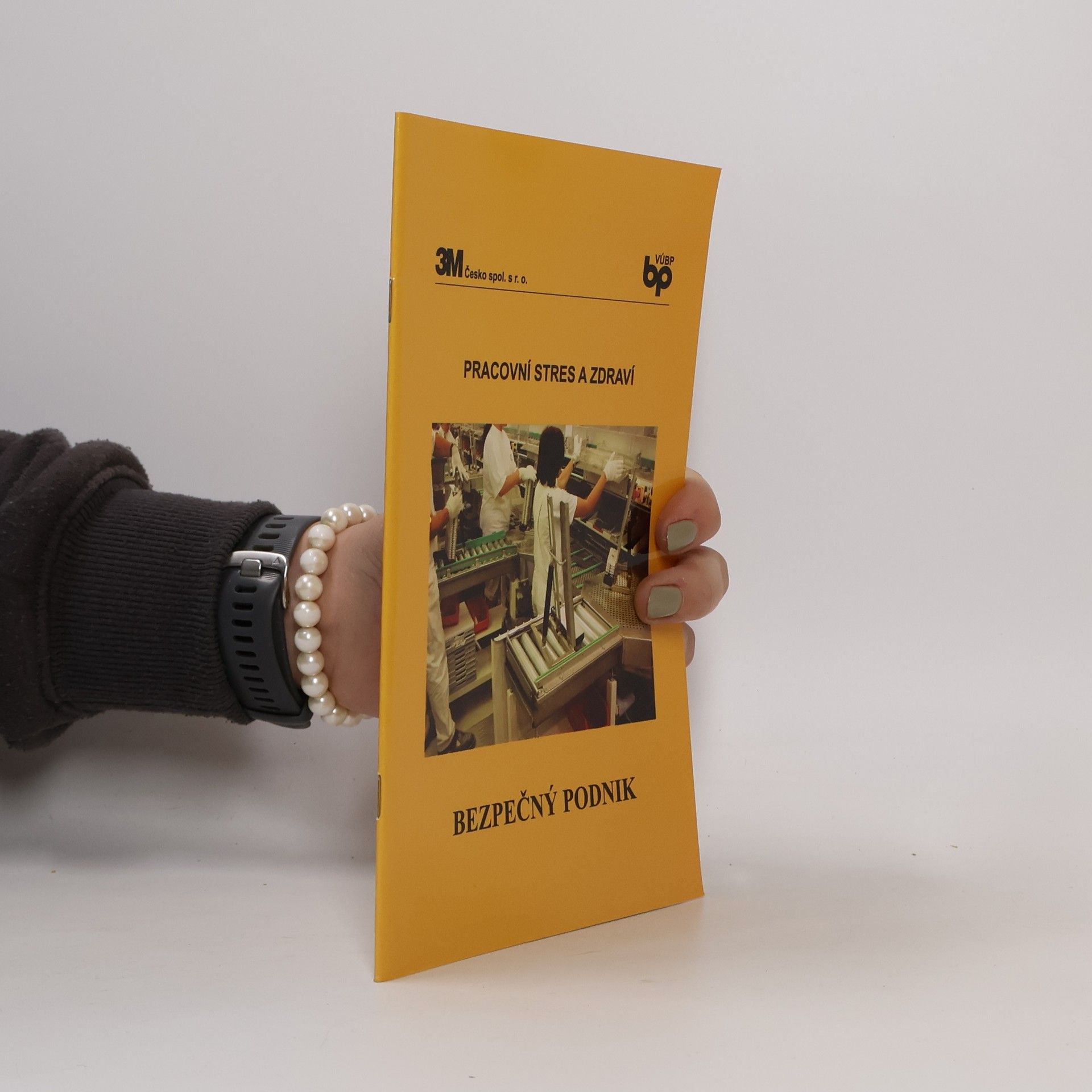 Oldřich Matoušek Pracovní stres a zdraví