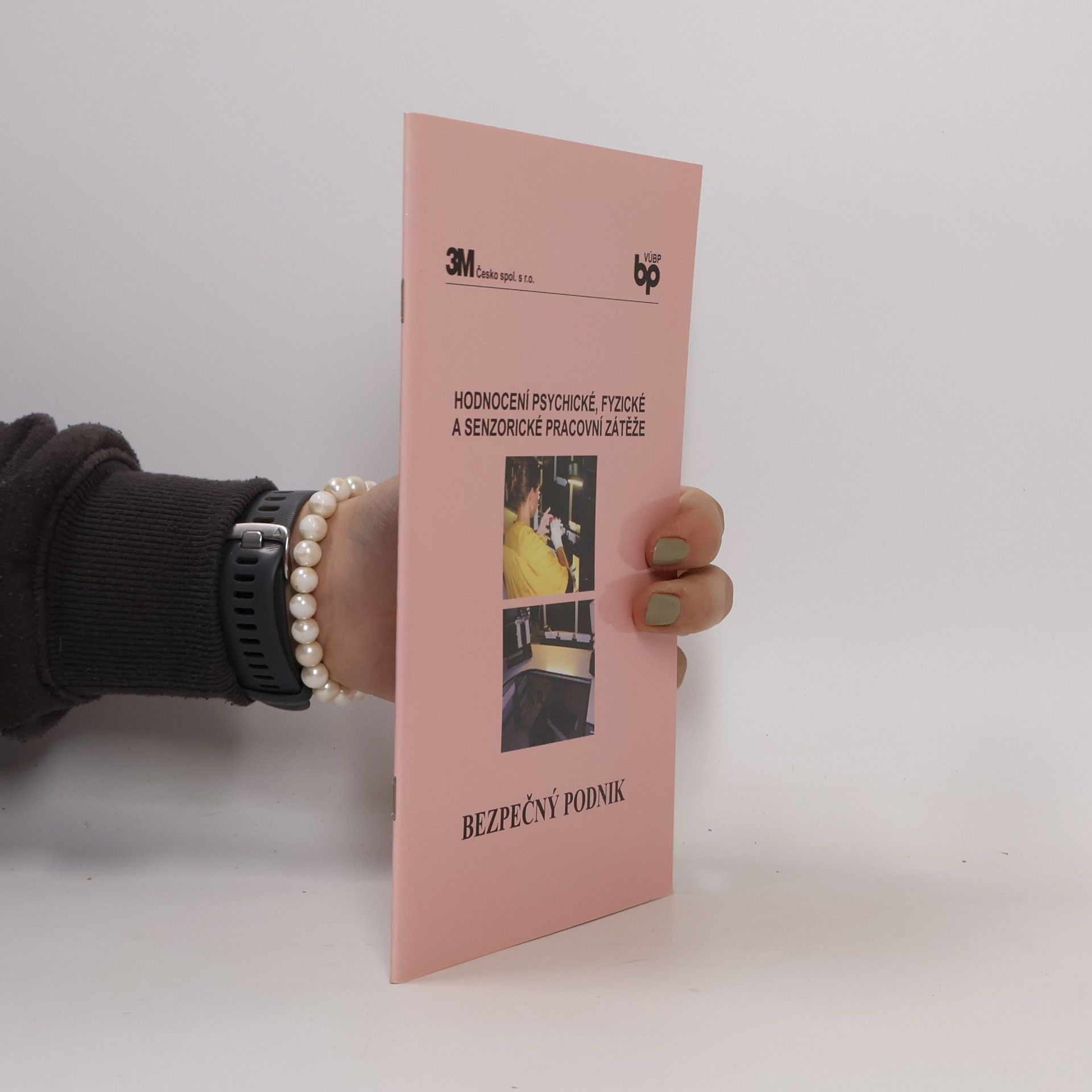 Autorenkollektiv Hodnocení psychické, fyzické a senzorické pracovní zátěže Bezpečný podnik. Hodnocení psychické, fyzické a senzorické pracovní zátěže