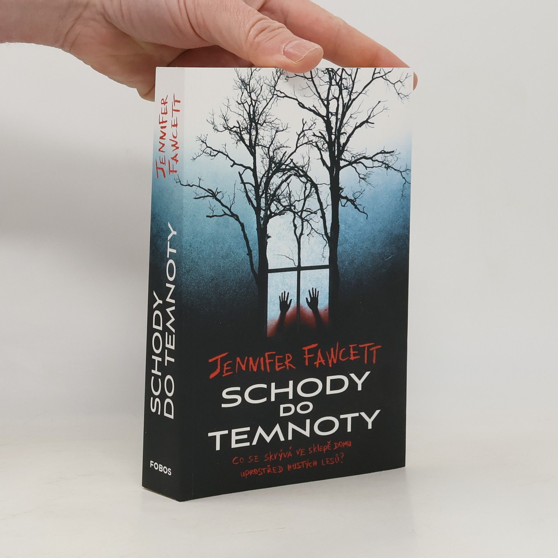 Jennifer Fawcett Schody do temnoty