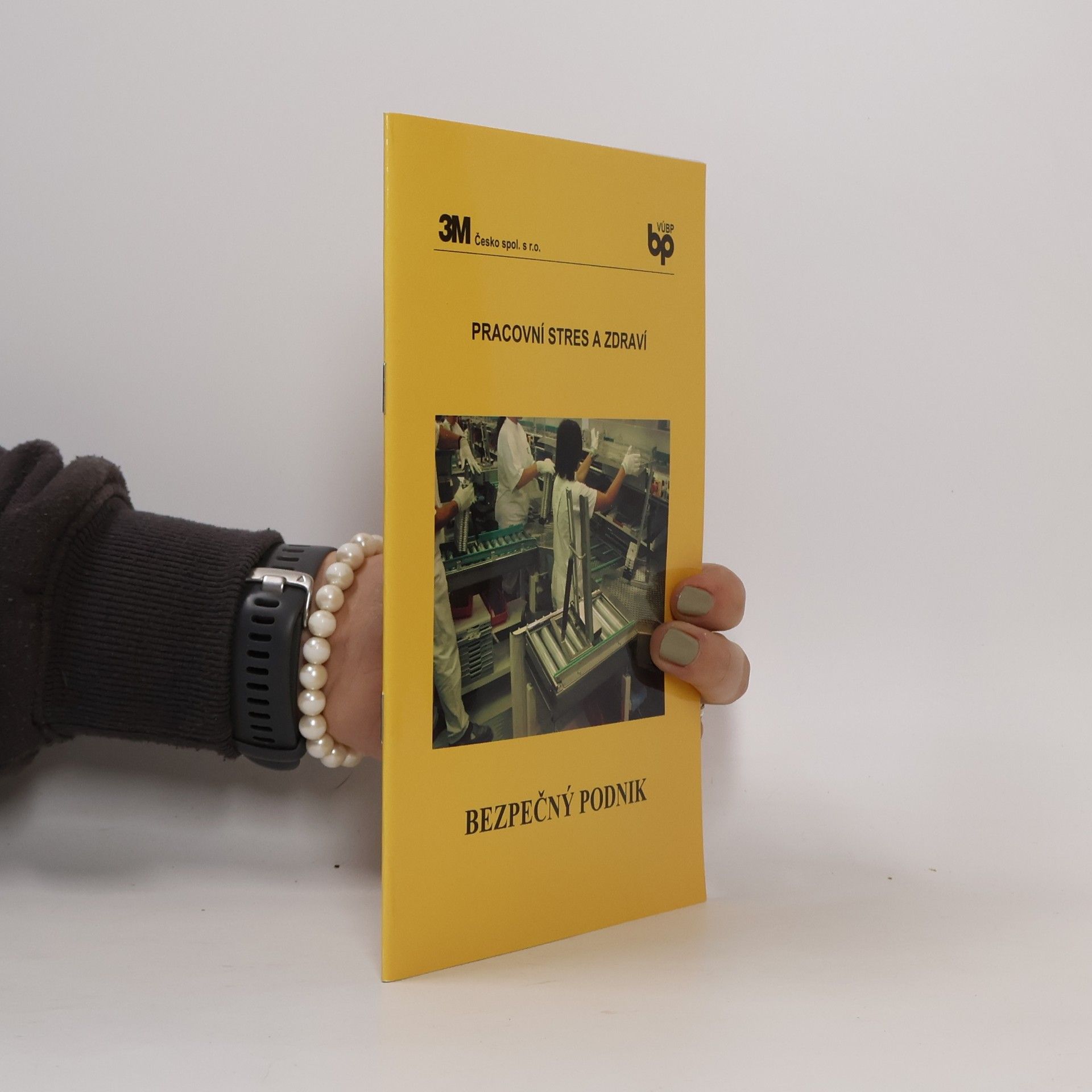 Pracovní stres a zdraví