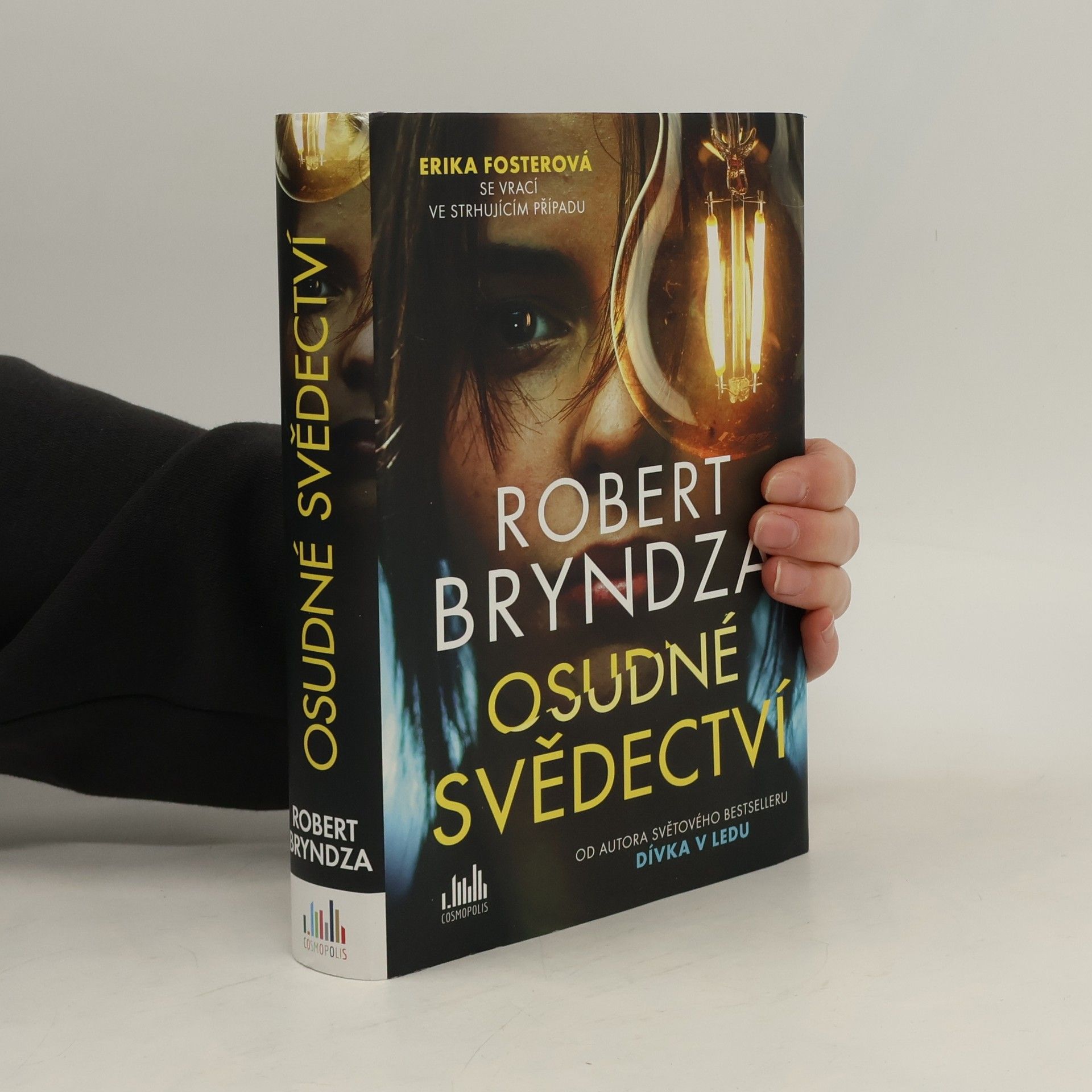 Robert Bryndza Osudné svědectví