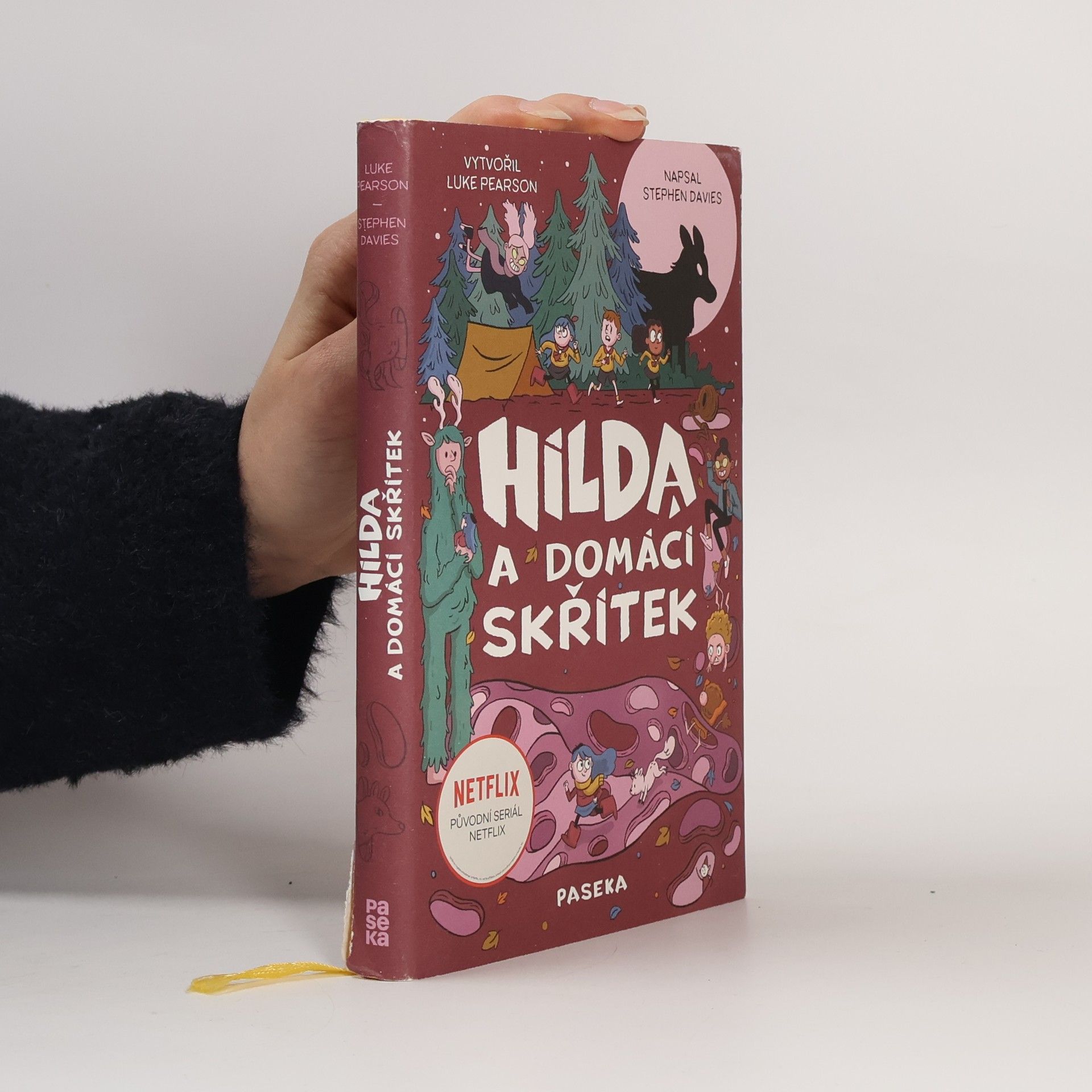 Stephen Davies Hilda a domácí skřítek