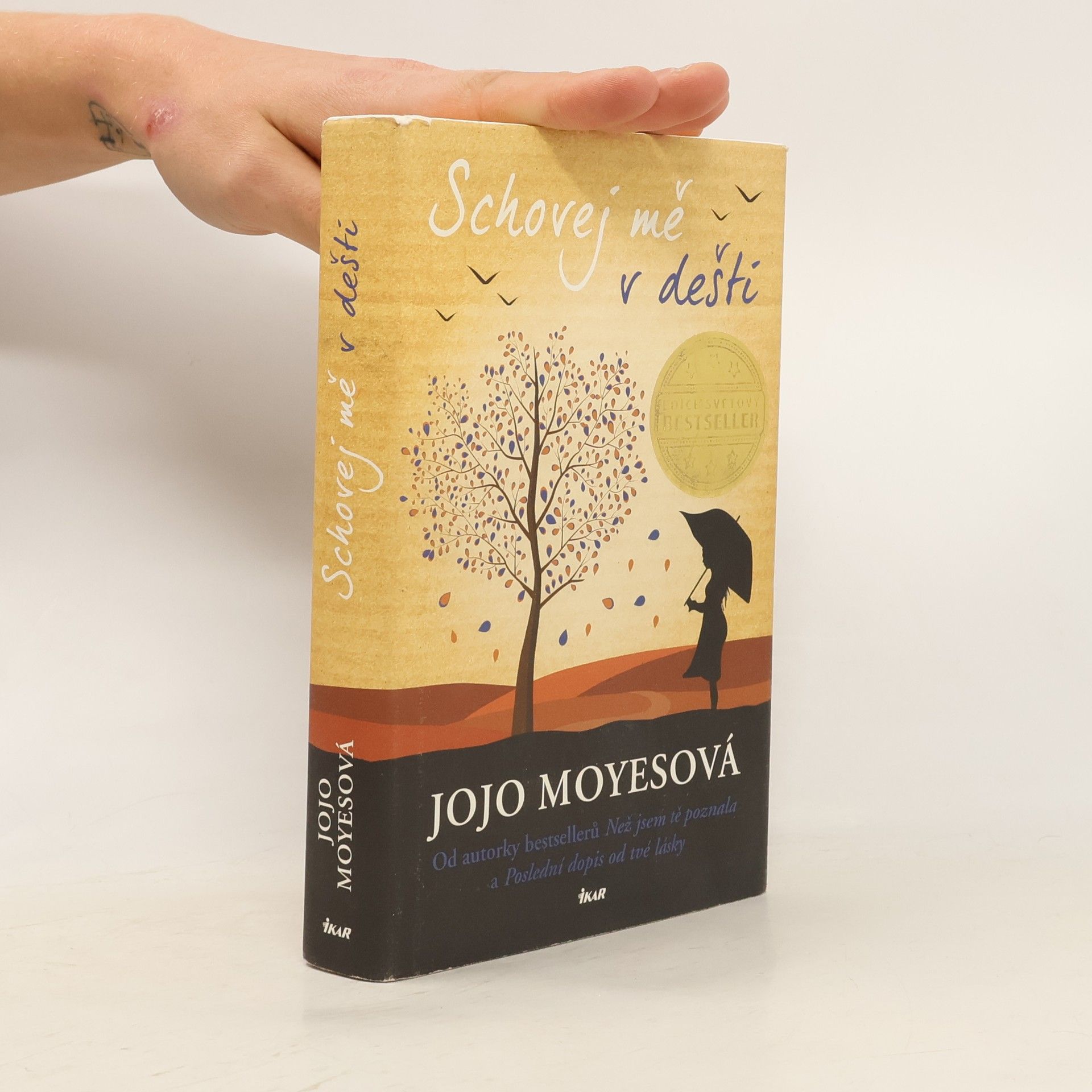 Jojo Moyes Schovej mě v dešti
