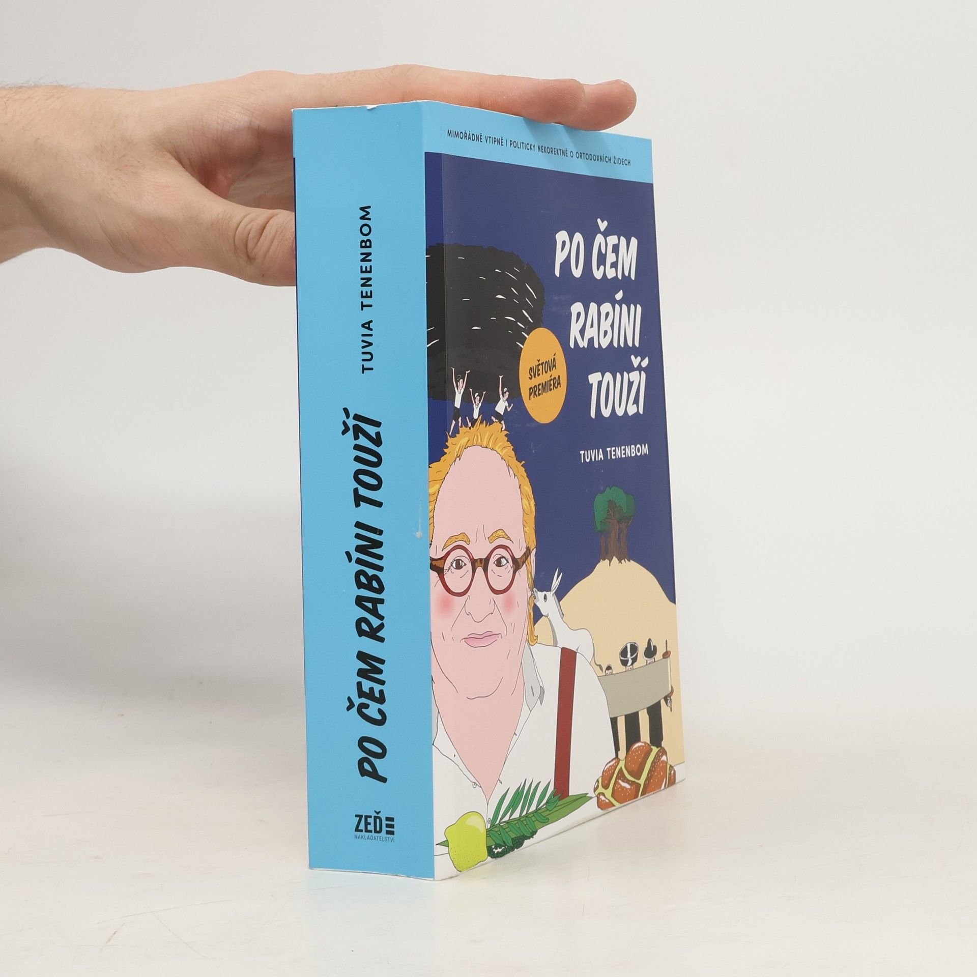 Tuvia Tenenbom Po čem rabíni touží : mimořádně vtipná i politicky nekorektní zpráva o ortodoxních Židech