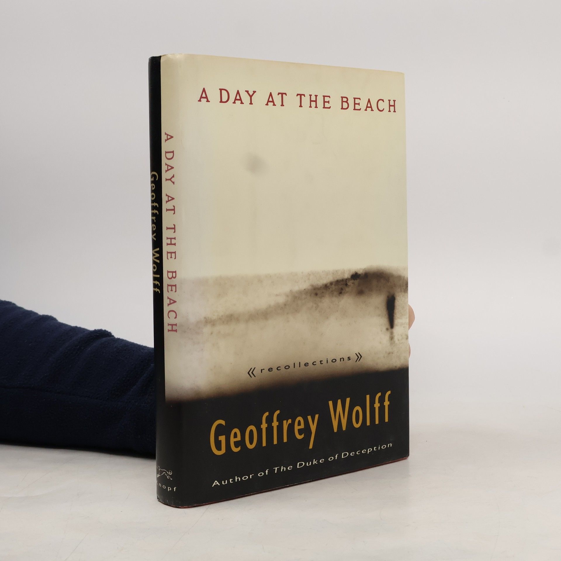 Geoffrey Wolff A Day at the Beach