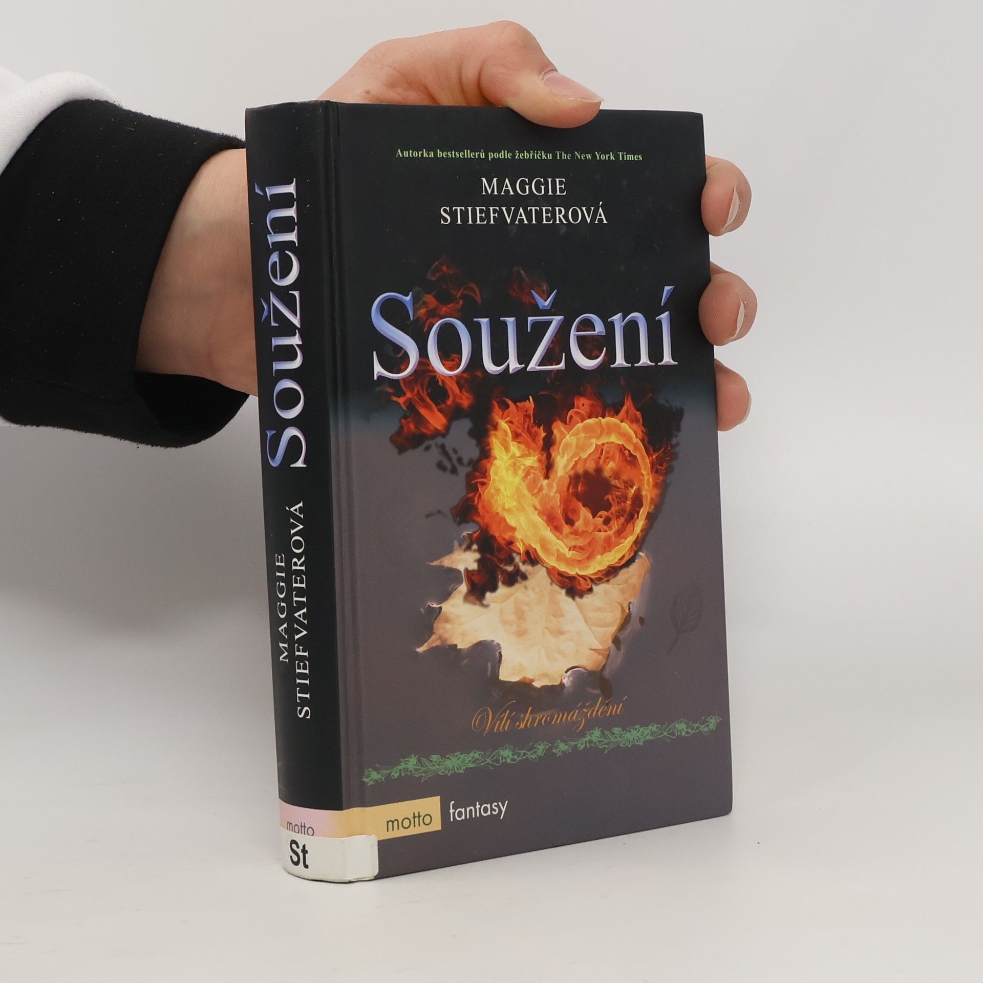 Maggie Stiefvater Soužení