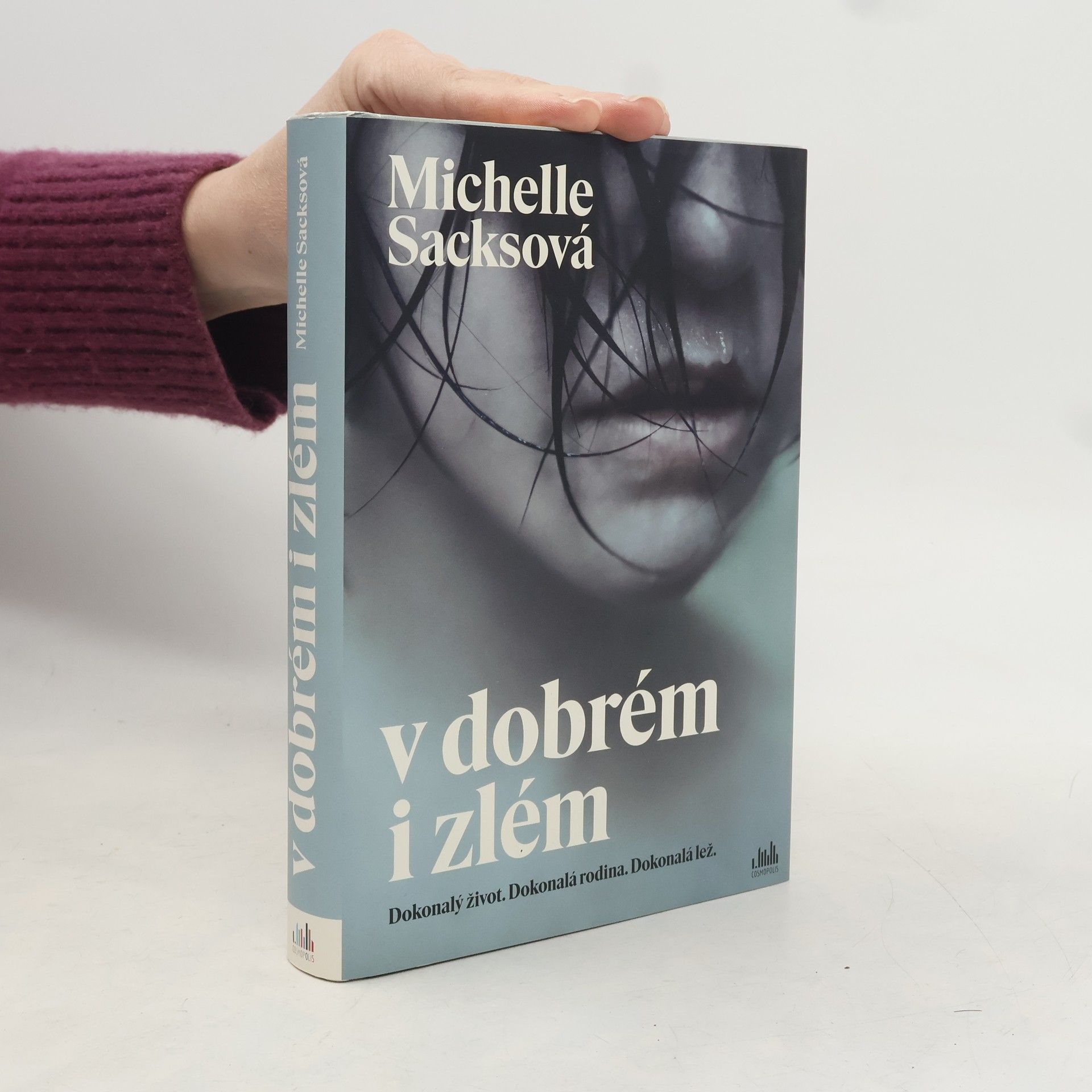 Michelle Sacks V dobrém i zlém