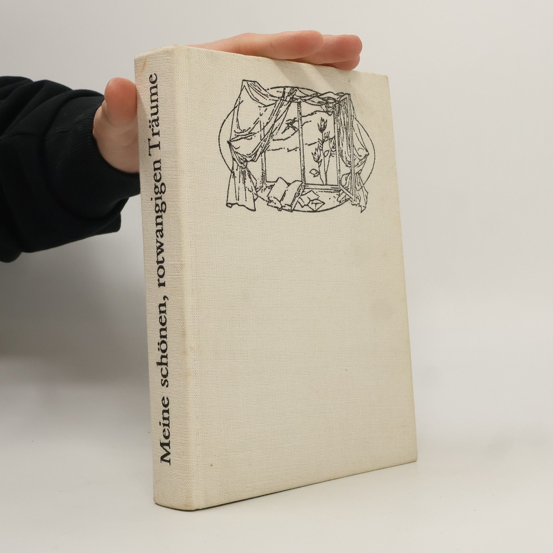 Joachim Lindner Meine schönen, rotwangigen Träume