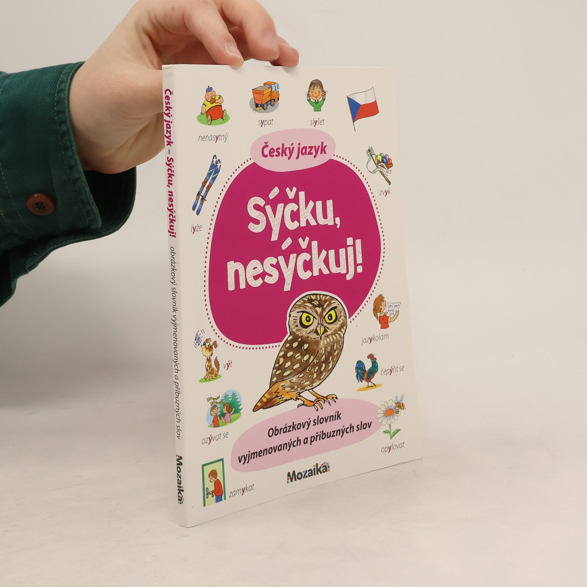 Autorenkollektiv Český jazyk : sýčku, nesýčkuj!