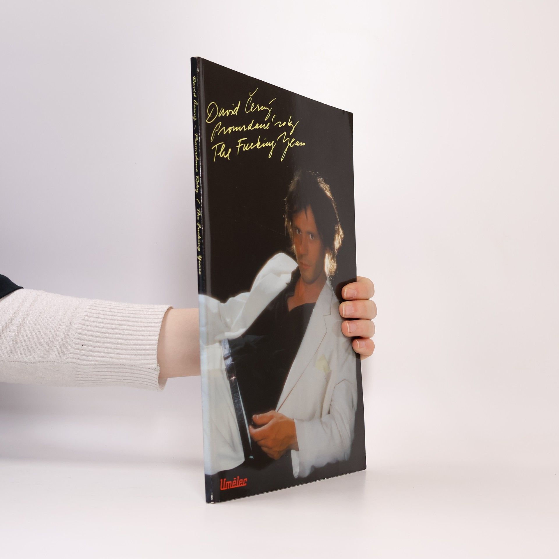 David Černý: Promrdané roky. Pravdivý příběh (Život a dílo umělce) = The Fucking Years. A True Story (The Life and Work of an Artist)