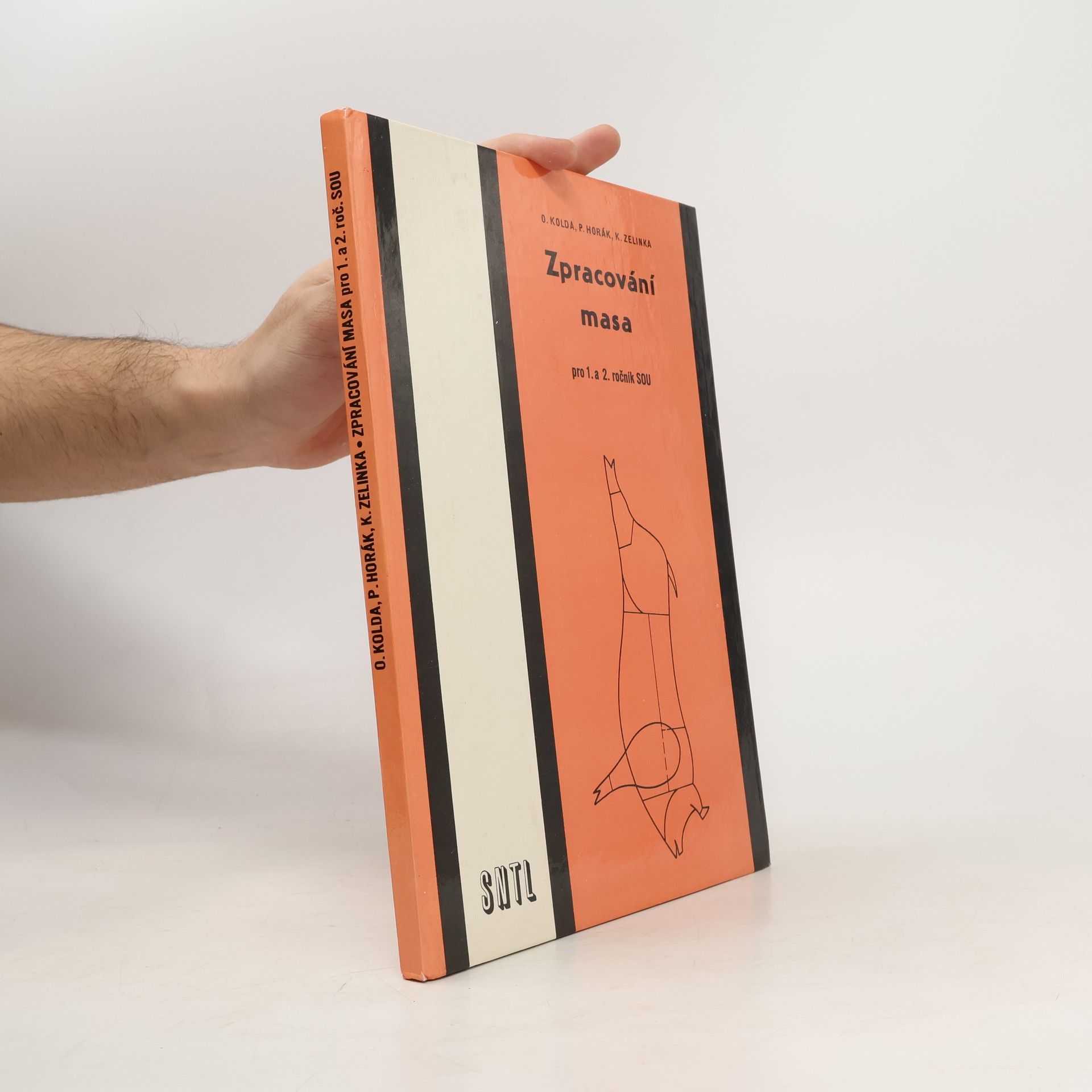 Kolektiv autorů Zpracování masa