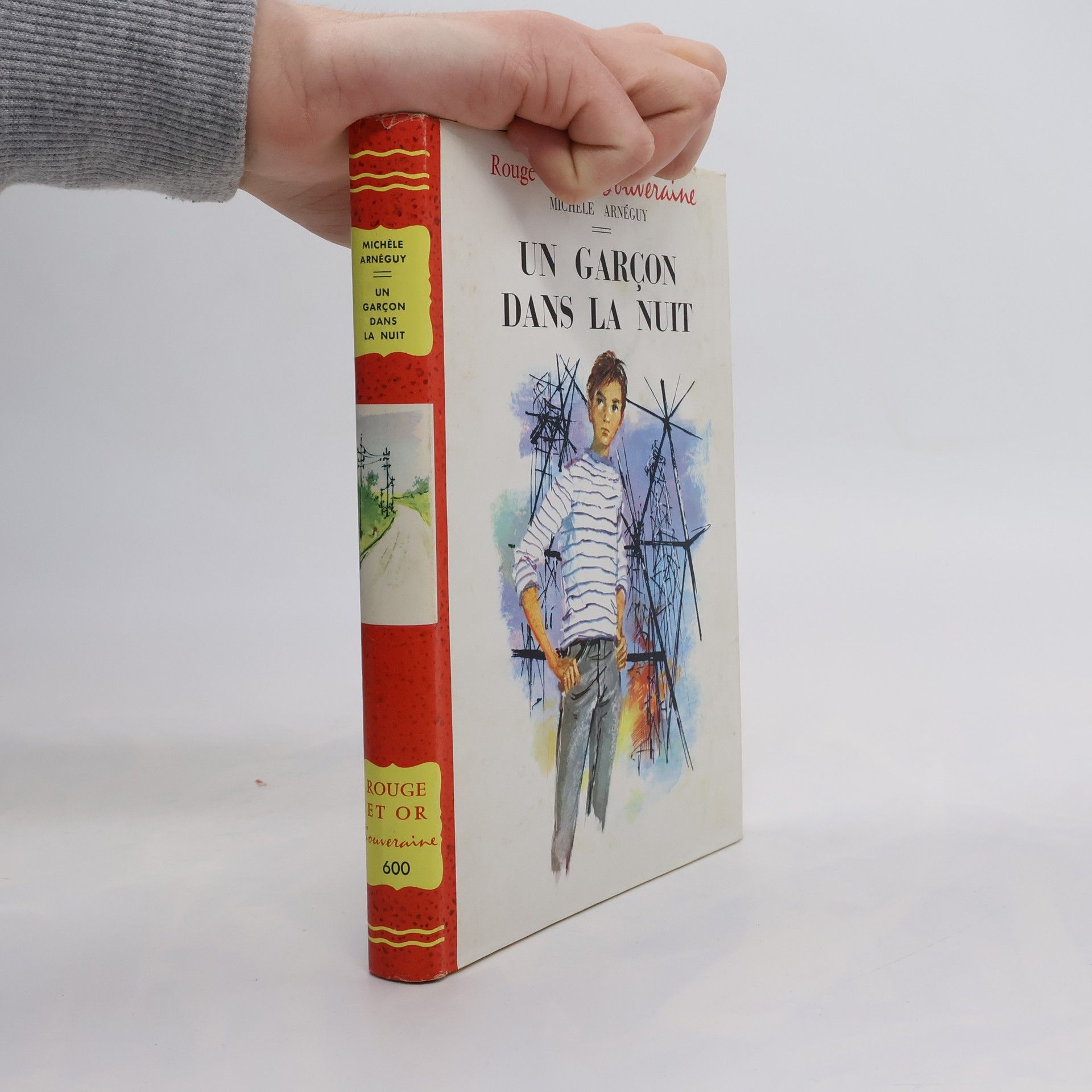 Michèle Arnéguy Un garçon dans la nuit