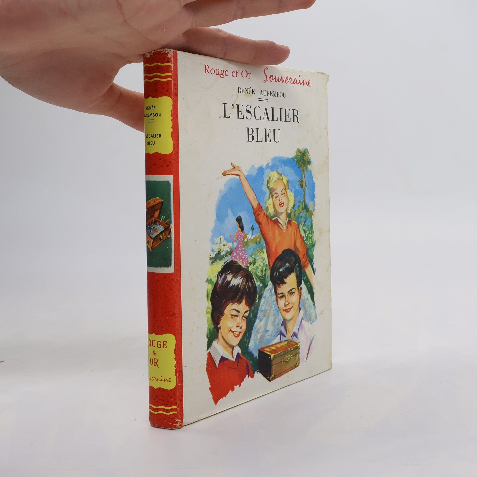 Renée Aurembou L'escalier bleu
