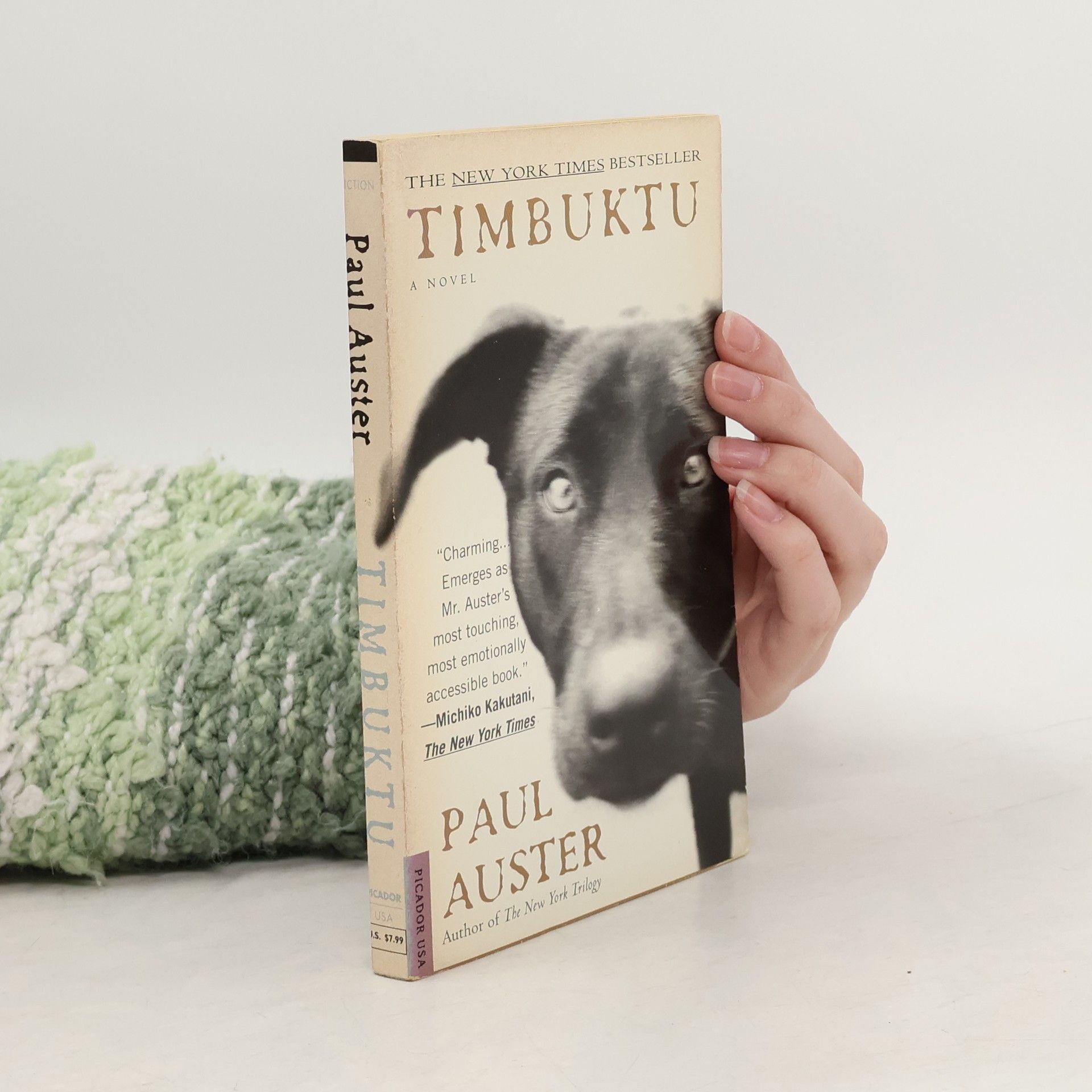 Paul Auster Timbuktu