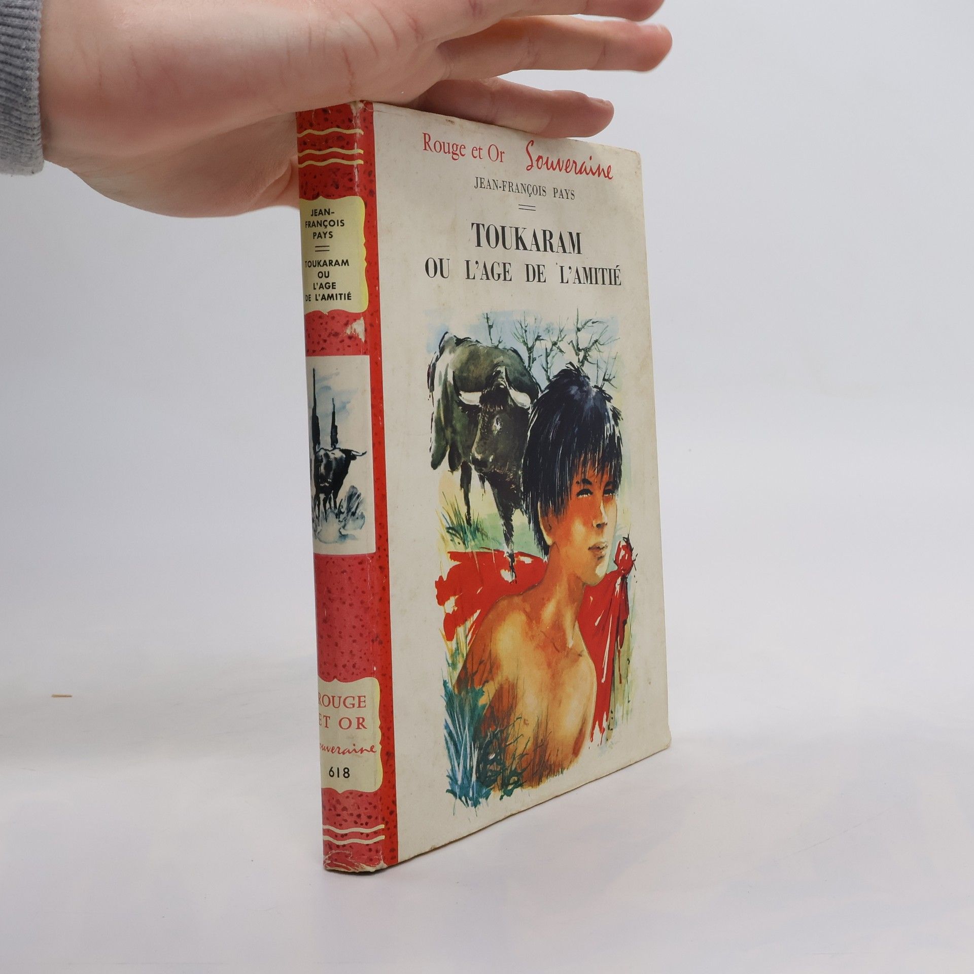 Jean-François Pays Toukaram ou l'âge de l'amitié