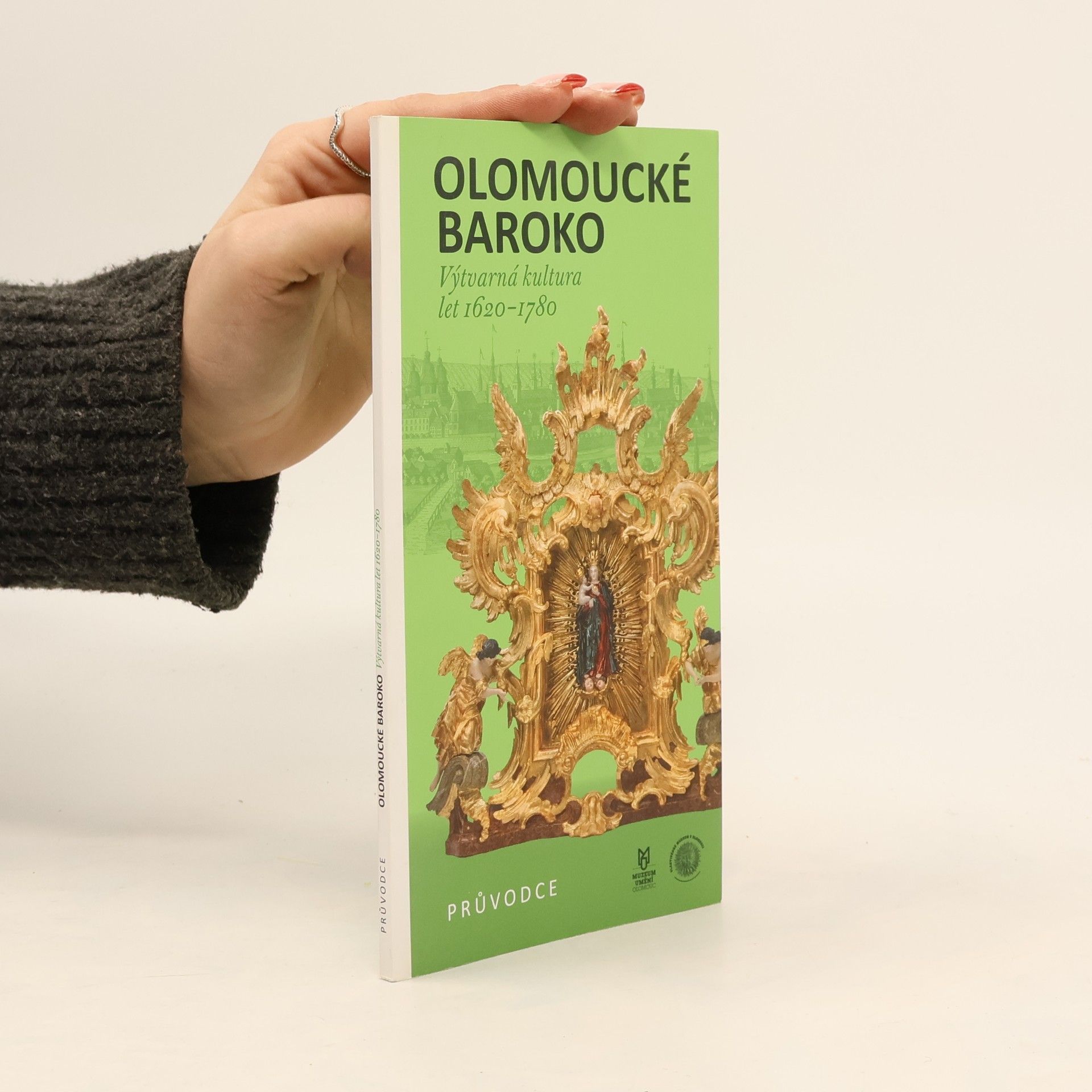 Ladislav Daniel Olomoucké baroko: výtvarná kultura let 1620-1780 - průvodce