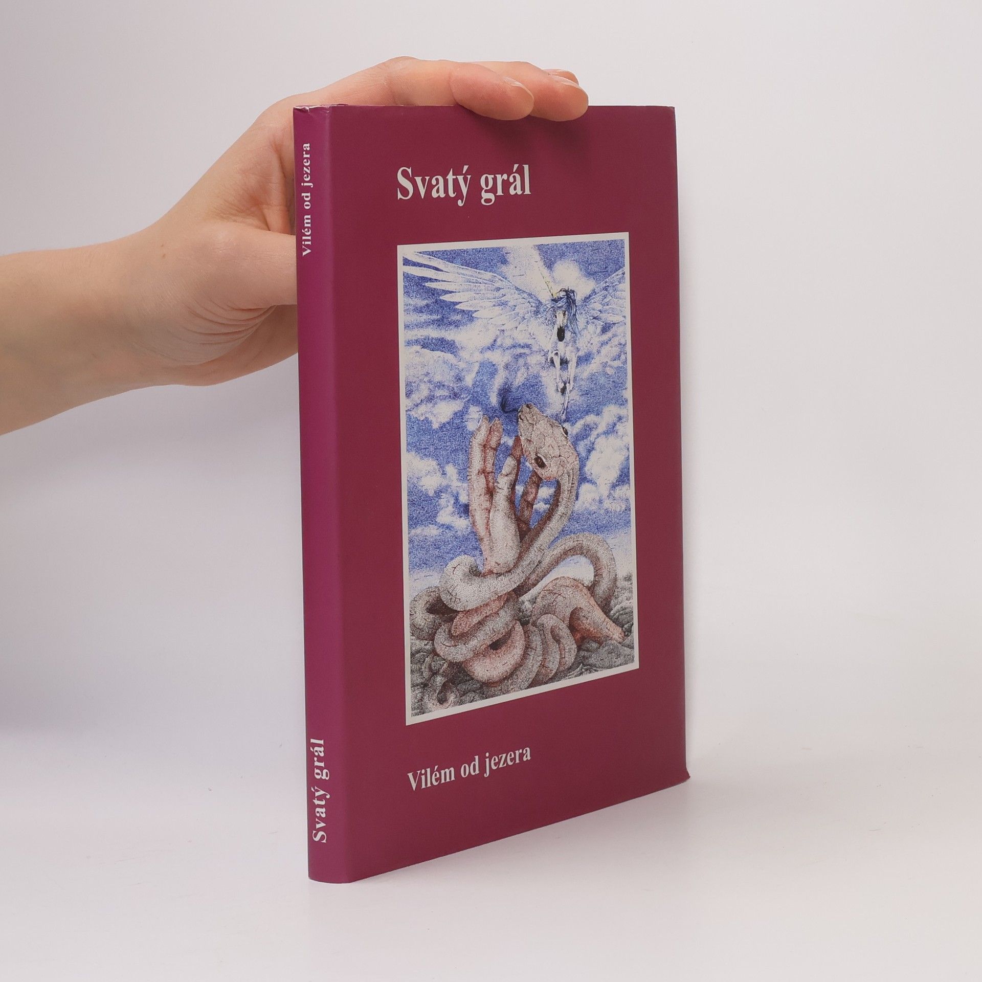 Vilém Hubka Svatý grál