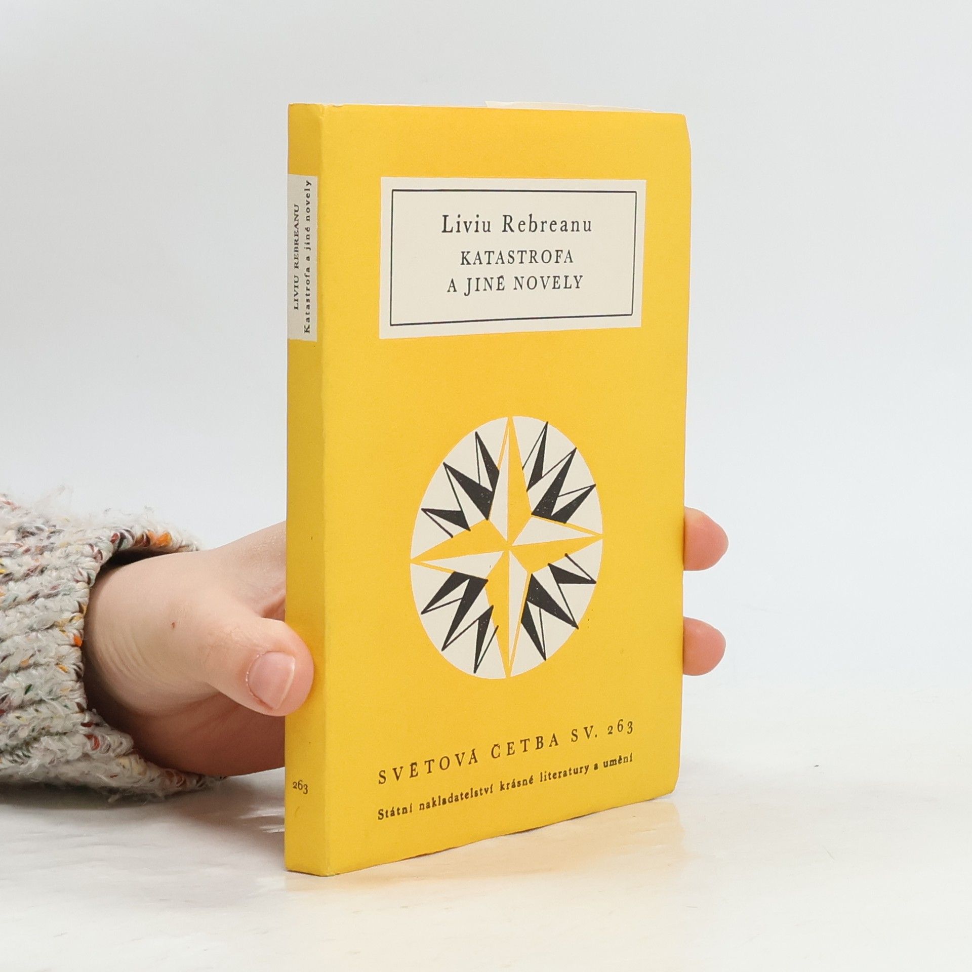 Katastrofa a jiné novely