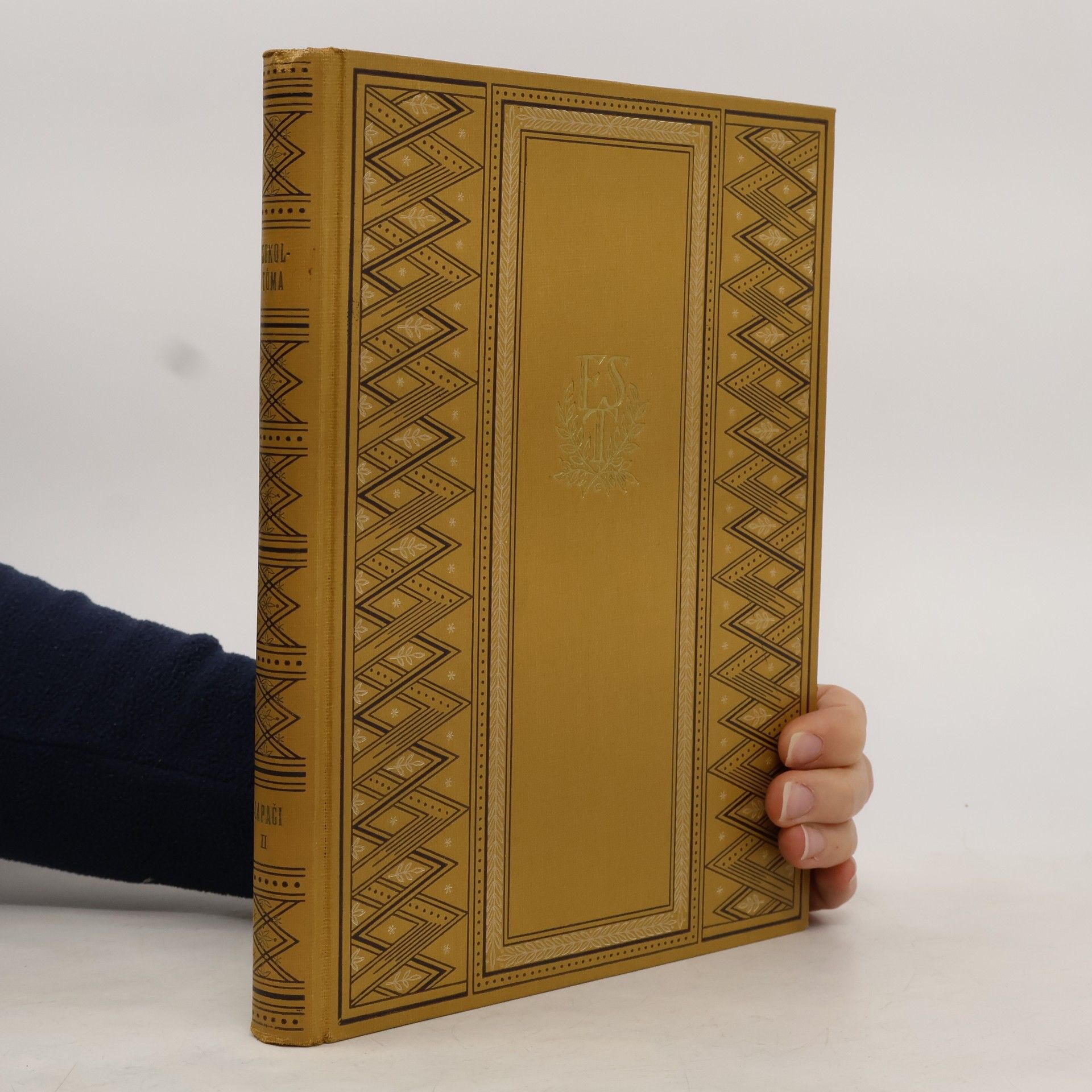 František Sokol Tůma Nad propastí II.