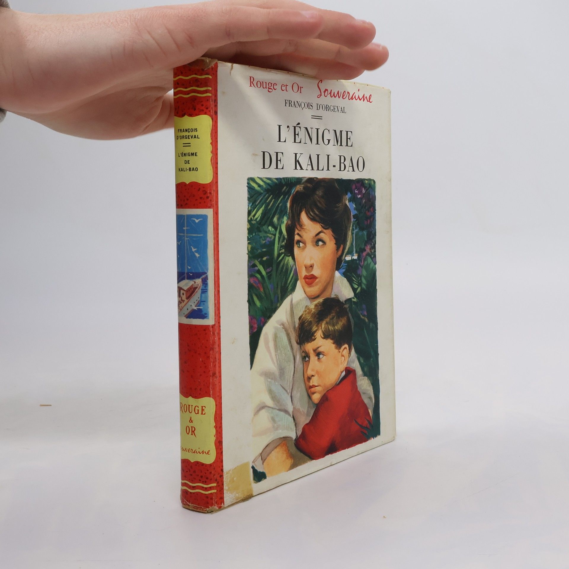 François d Orgeval L'Énigme de Kali-Bao