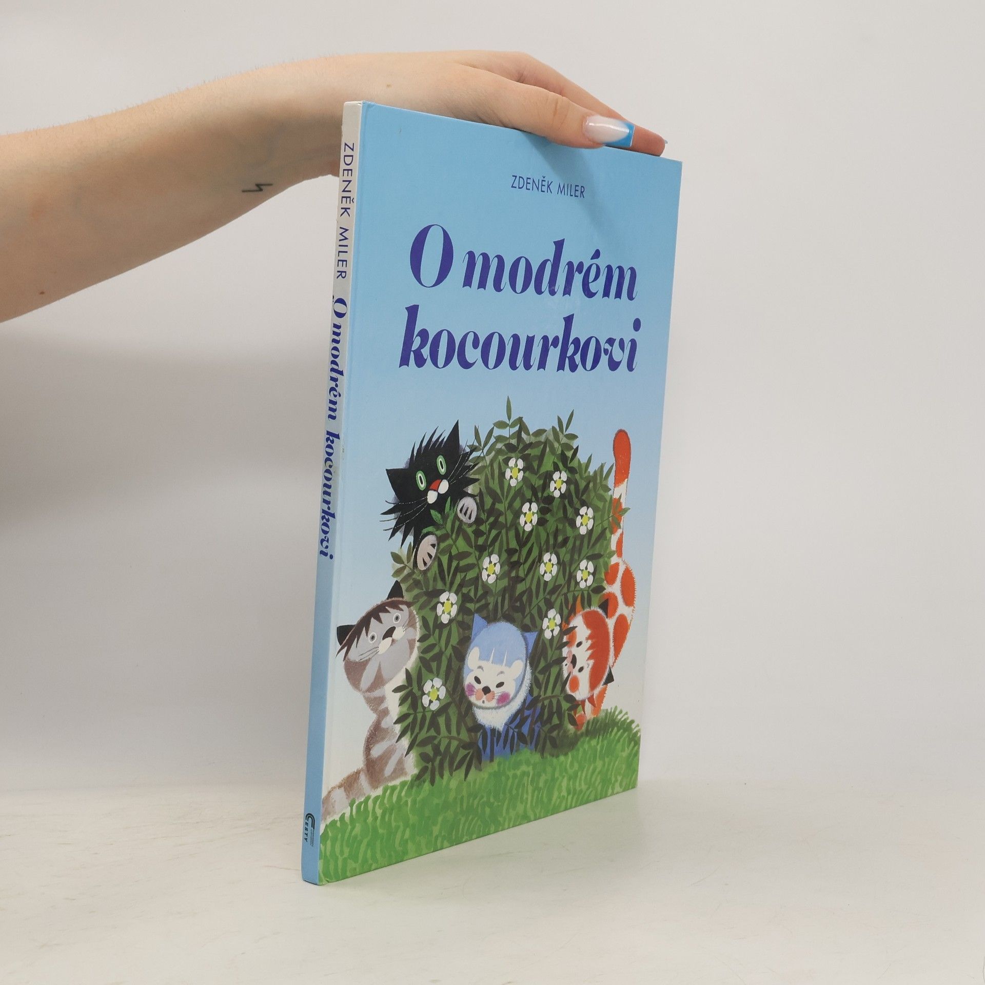 Marika Hellstrom Kennedy O modrém kocourkovi