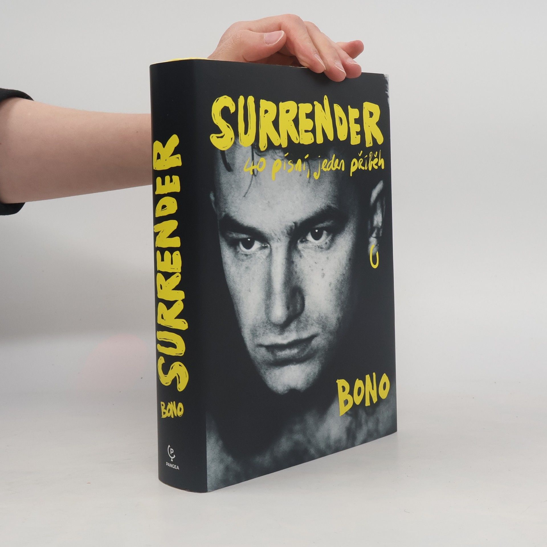 Surrender : 40 písní, jeden příběh