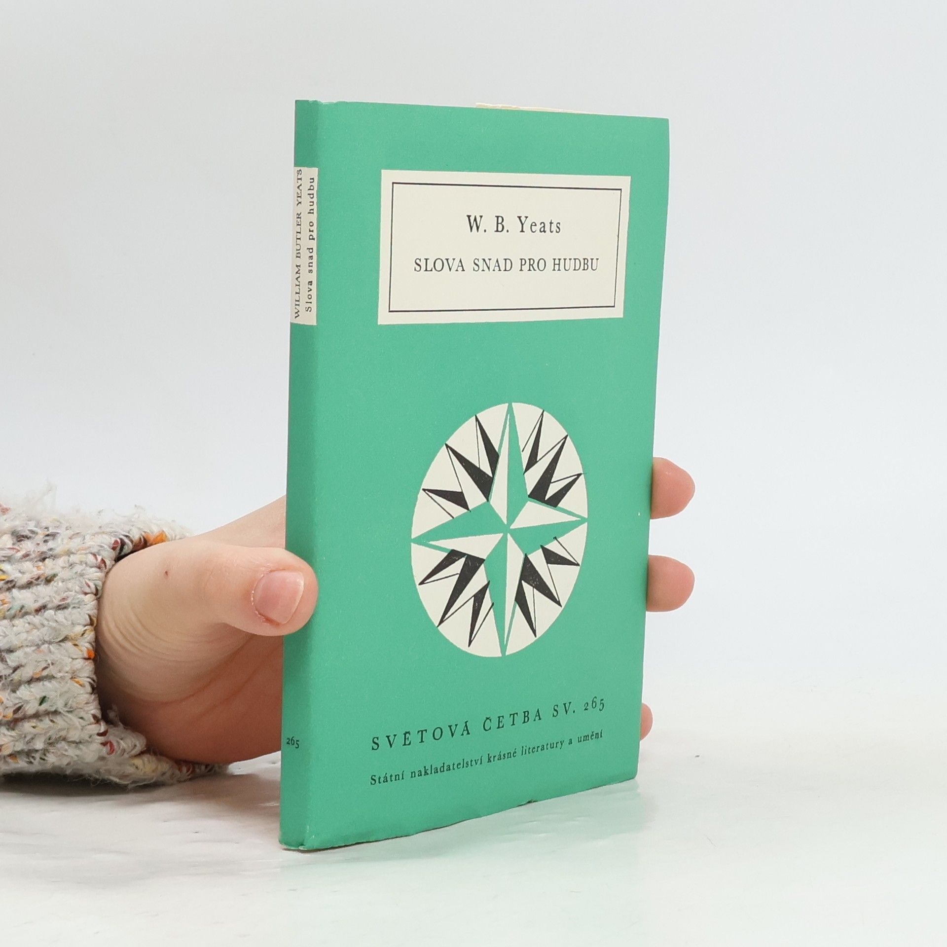 Slova snad pro hudbu