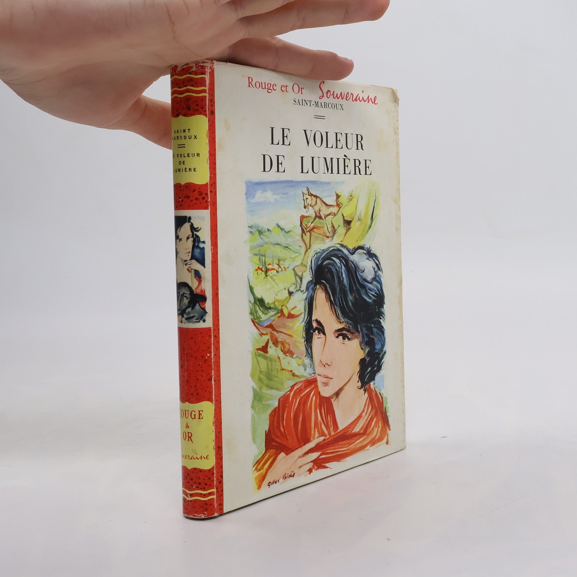 Jeanne Saint-Marcoux Le Voleur de lumière