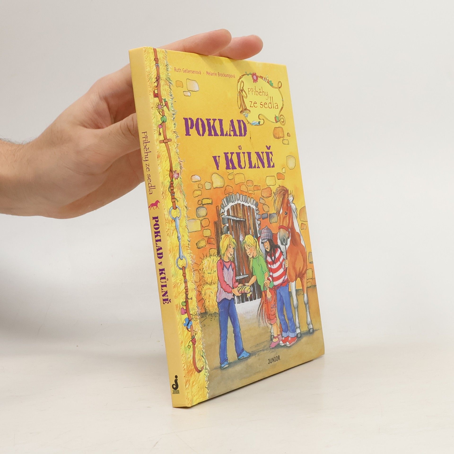 Ruth Gellersen Příběhy ze sedla. Poklad v kůlně