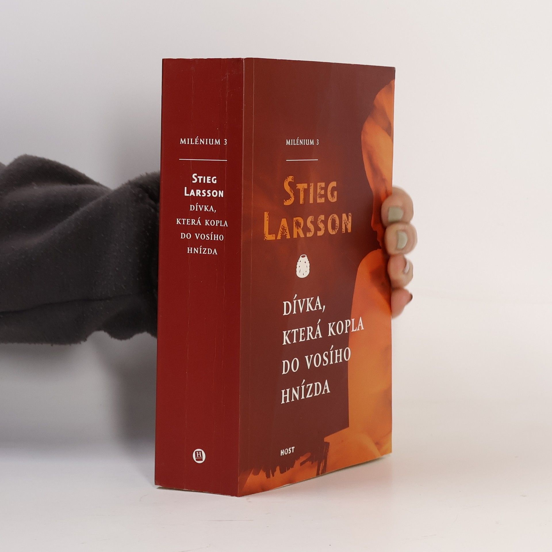 Stieg Larsson Dívka, která kopla do vosího hnízda