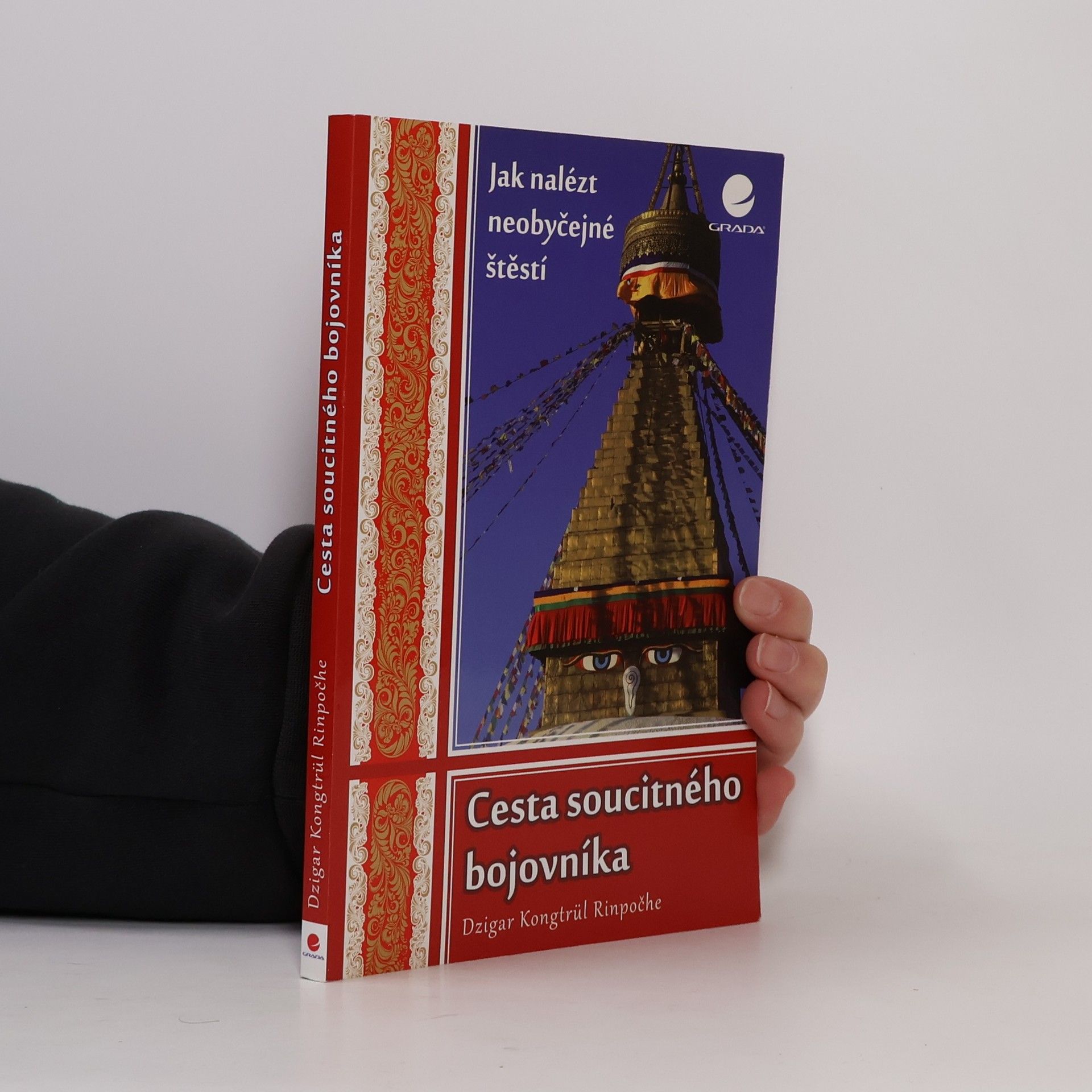 Dzigar Kongtrül Rinpoche Cesta soucitného bojovníka. Jak nalézt neobyčejné štěstí