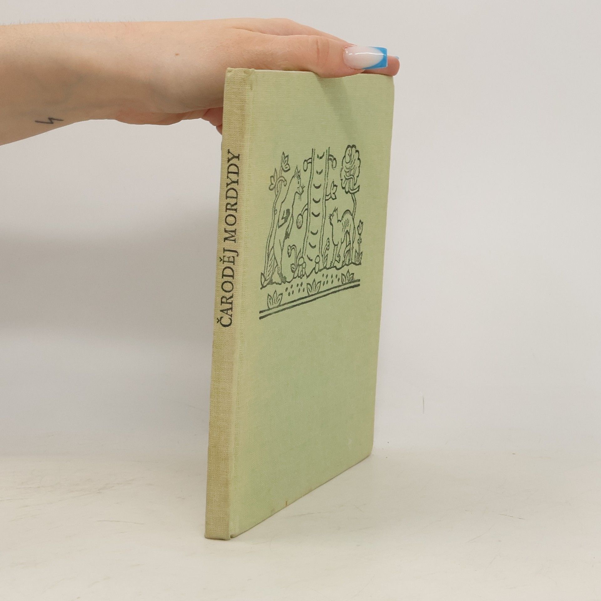 Jan Vrána Čaroděj Mordydy