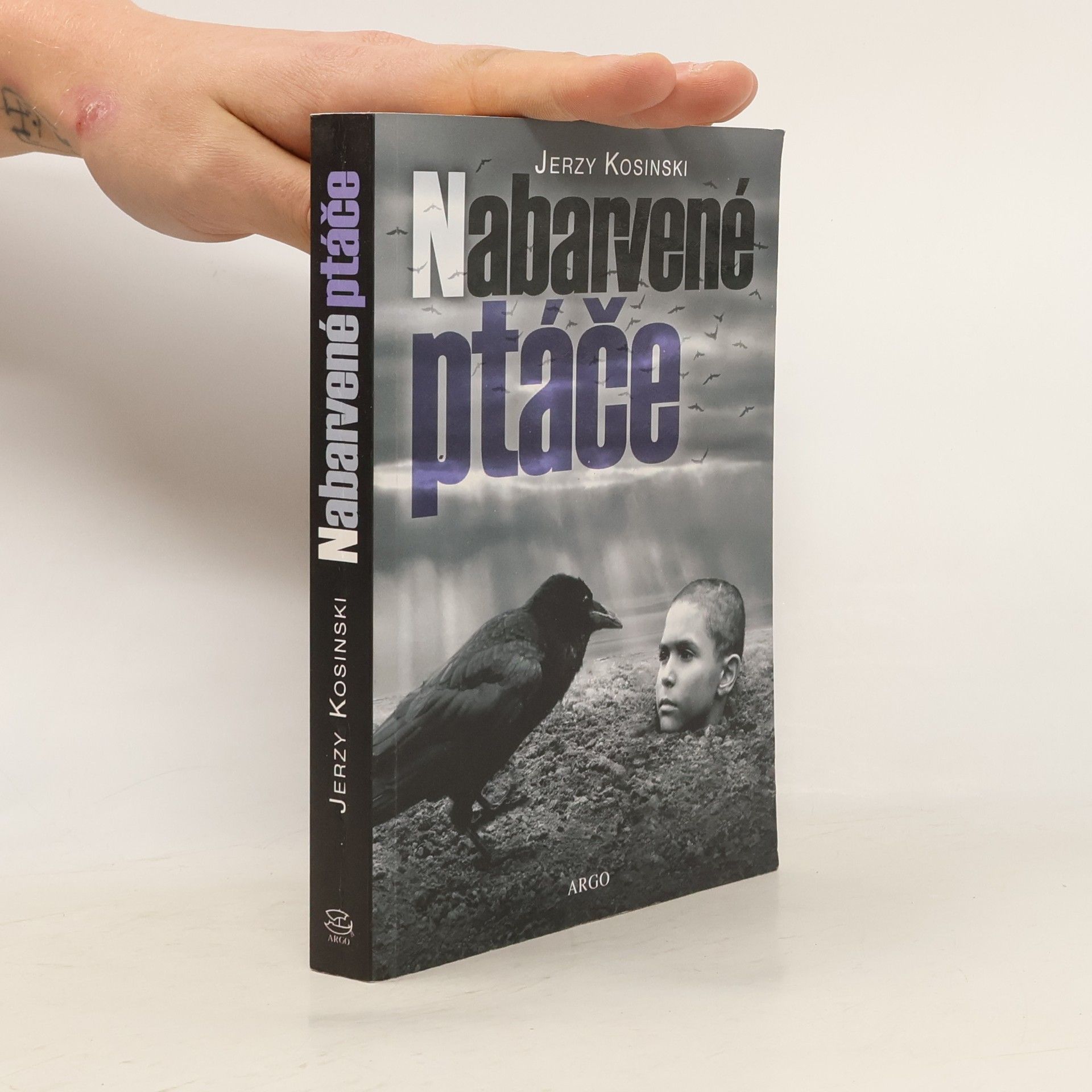 Jerzy Kosiński Nabarvené ptáče