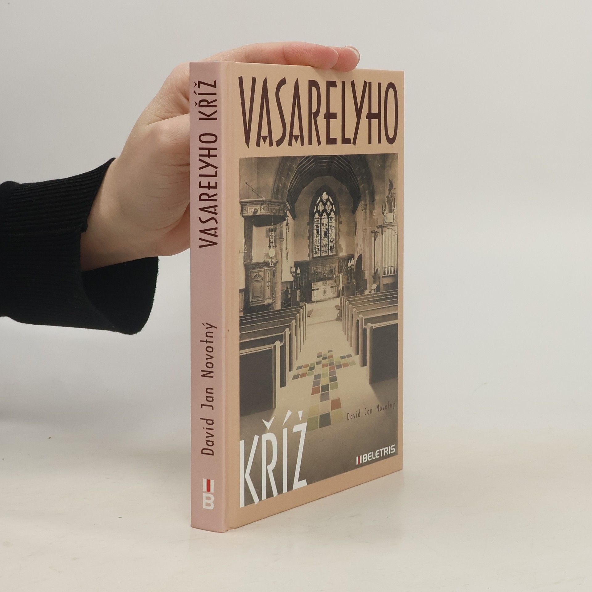 David Jan Novotný Vasarelyho kříž : pisoidně realistický román