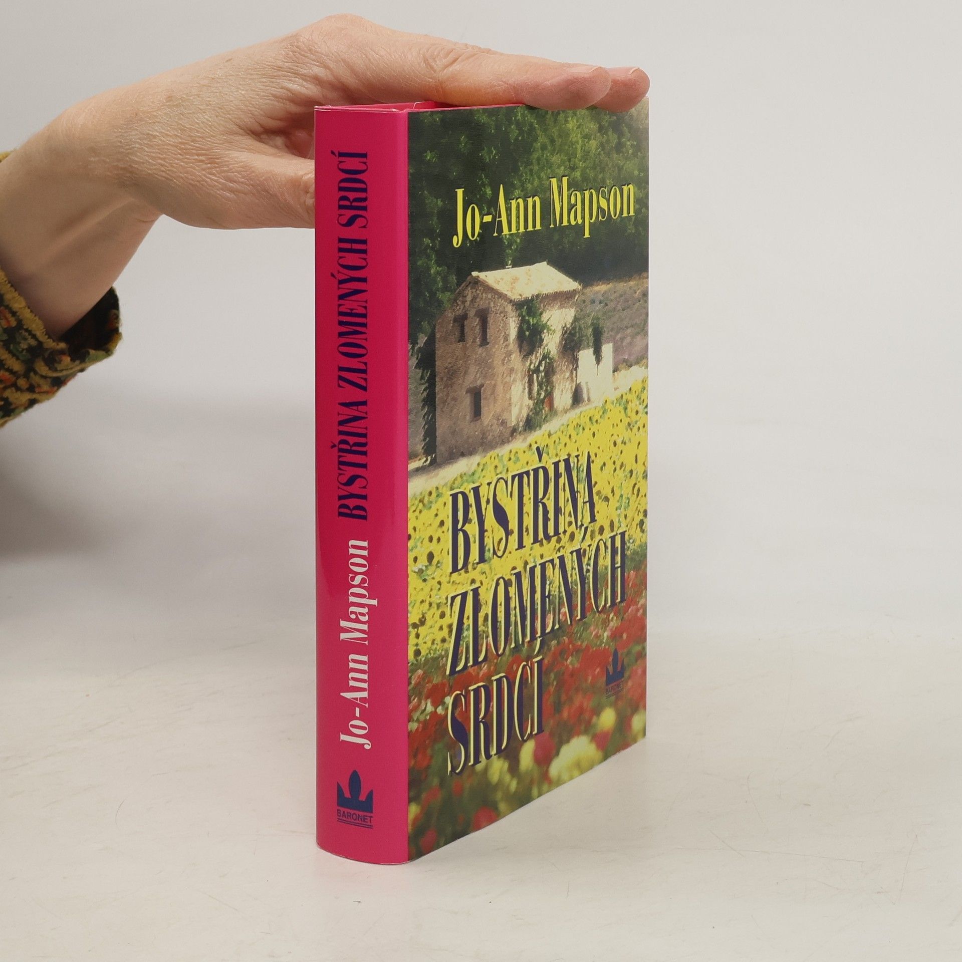 Jo Ann Mapson Bystřina zlomených srdcí