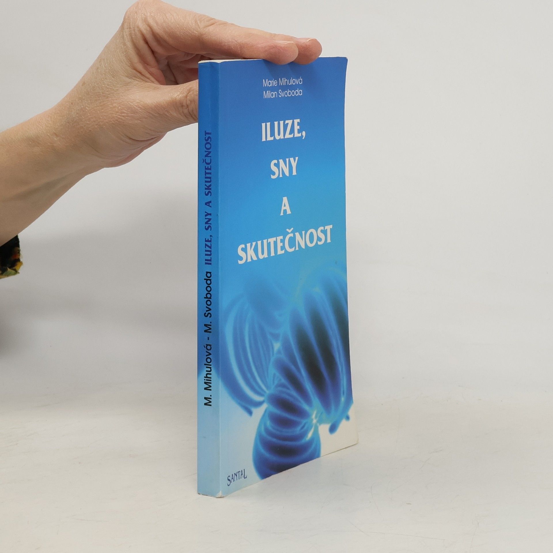 Marie Mihulová Iluze, sny a skutečnost