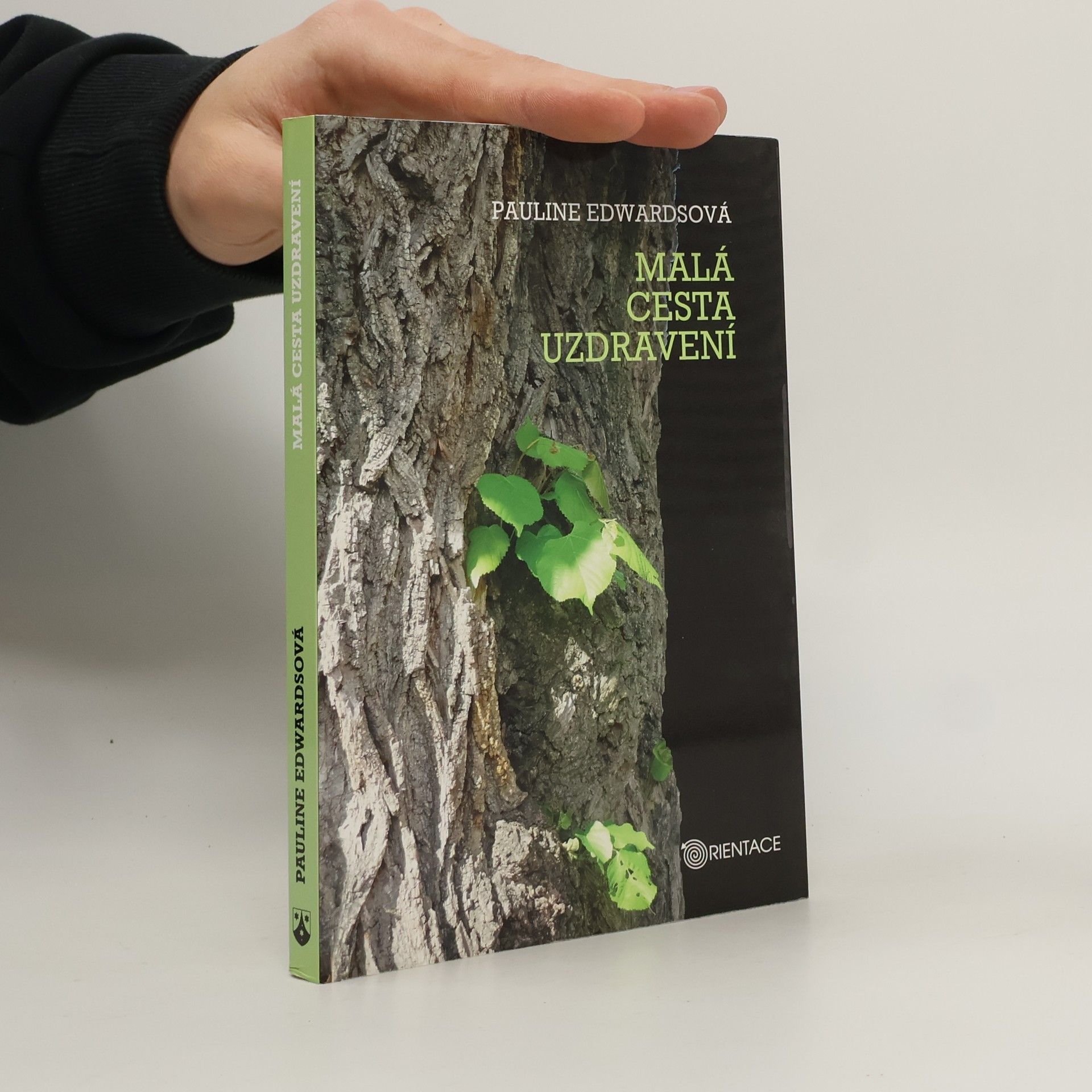 Pauline Edwards Malá cesta uzdravení