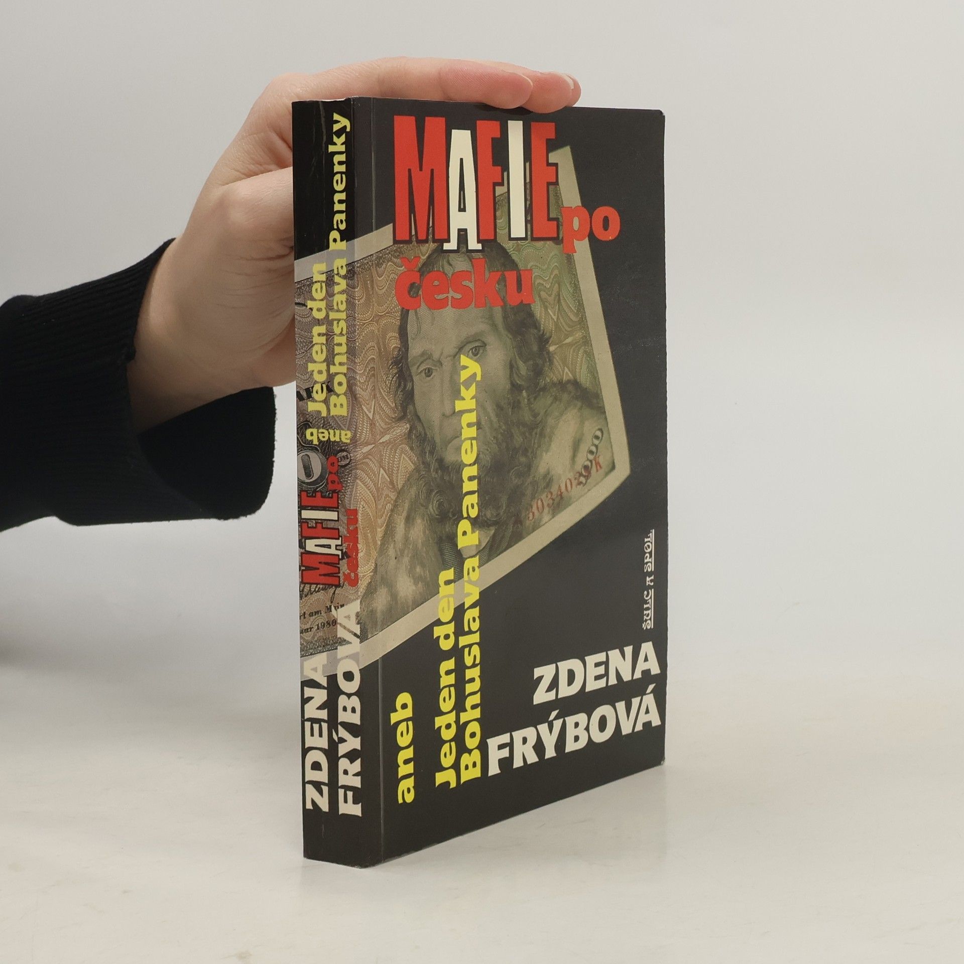 Zdena Frýbová Mafie po česku