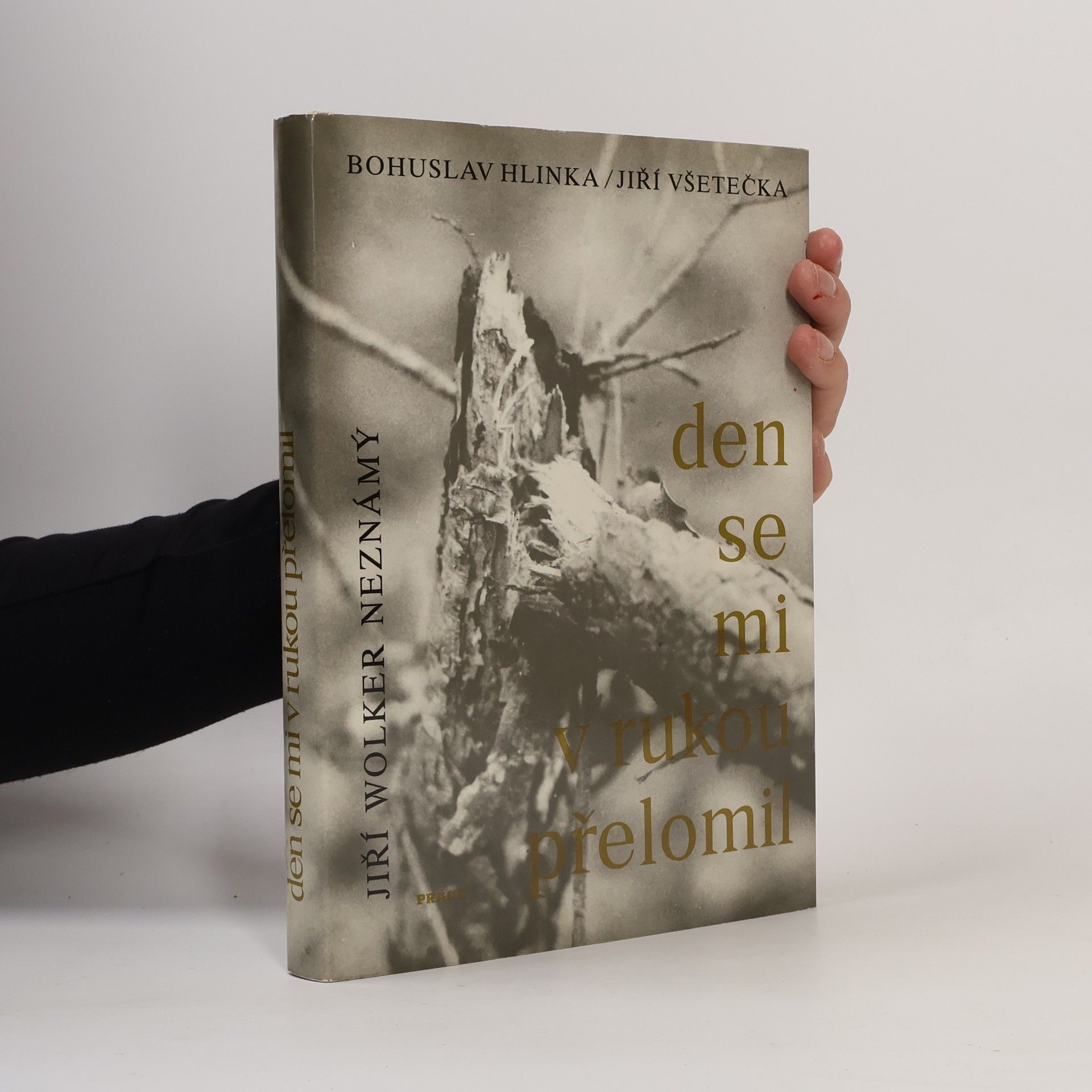 Jiri Vsetecka Den se mi v rukou přelomil