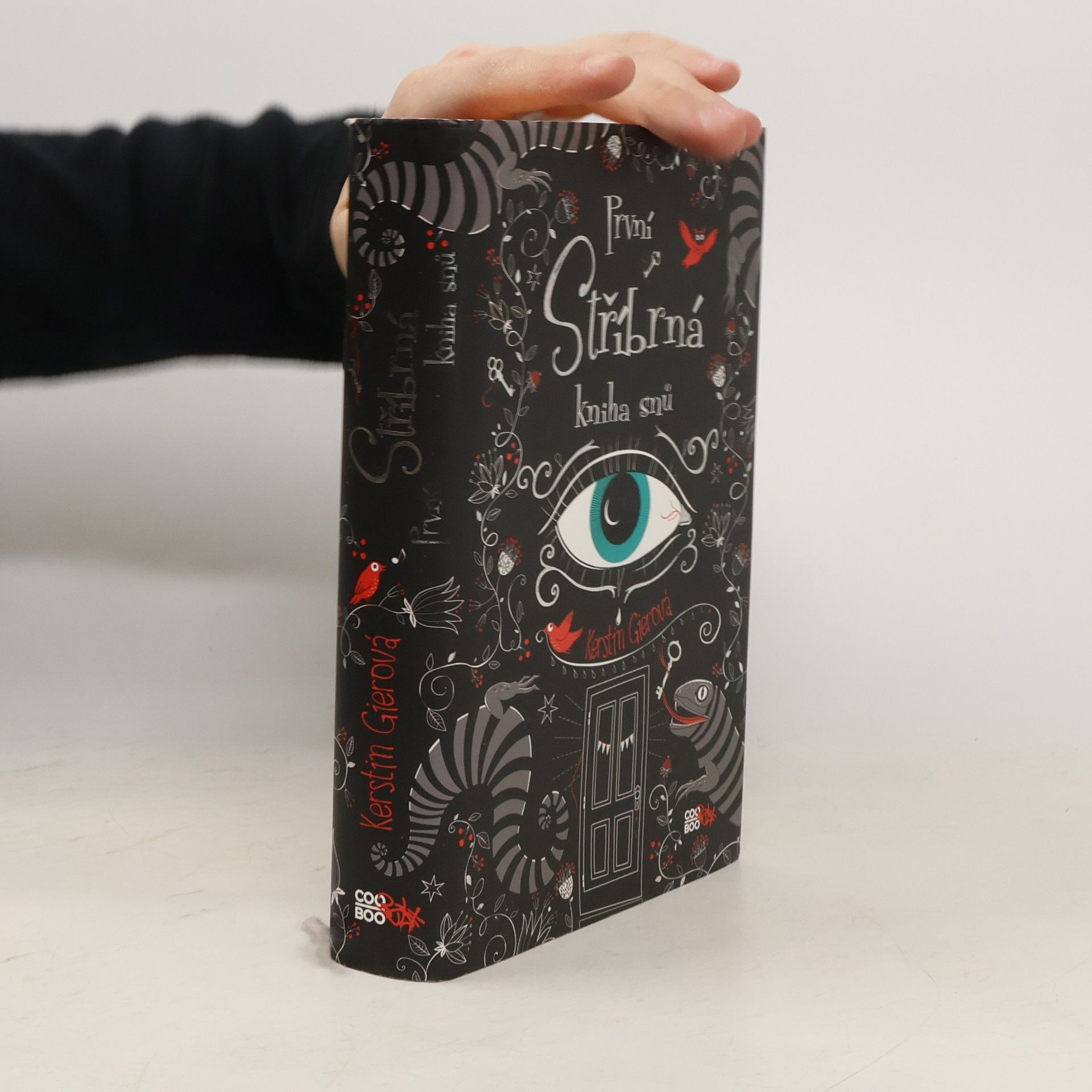 Kerstin Gier První stříbrná kniha snů