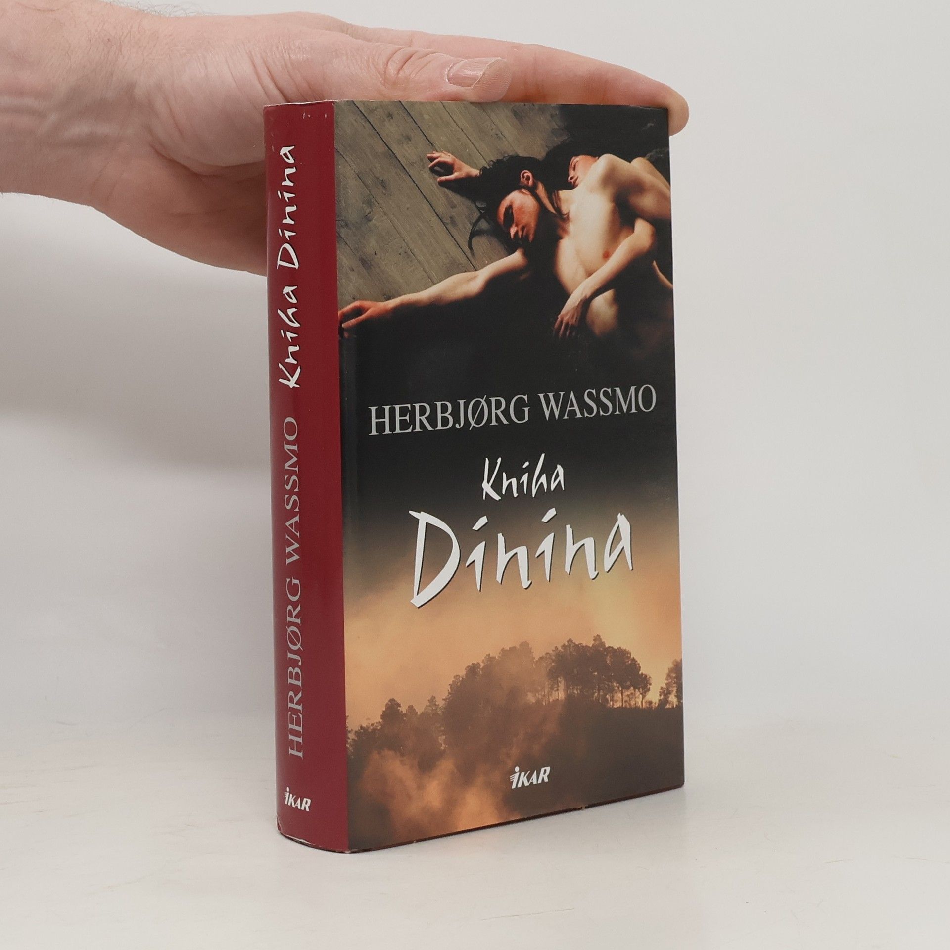 Herbjørg Wassmo Kniha Dinina