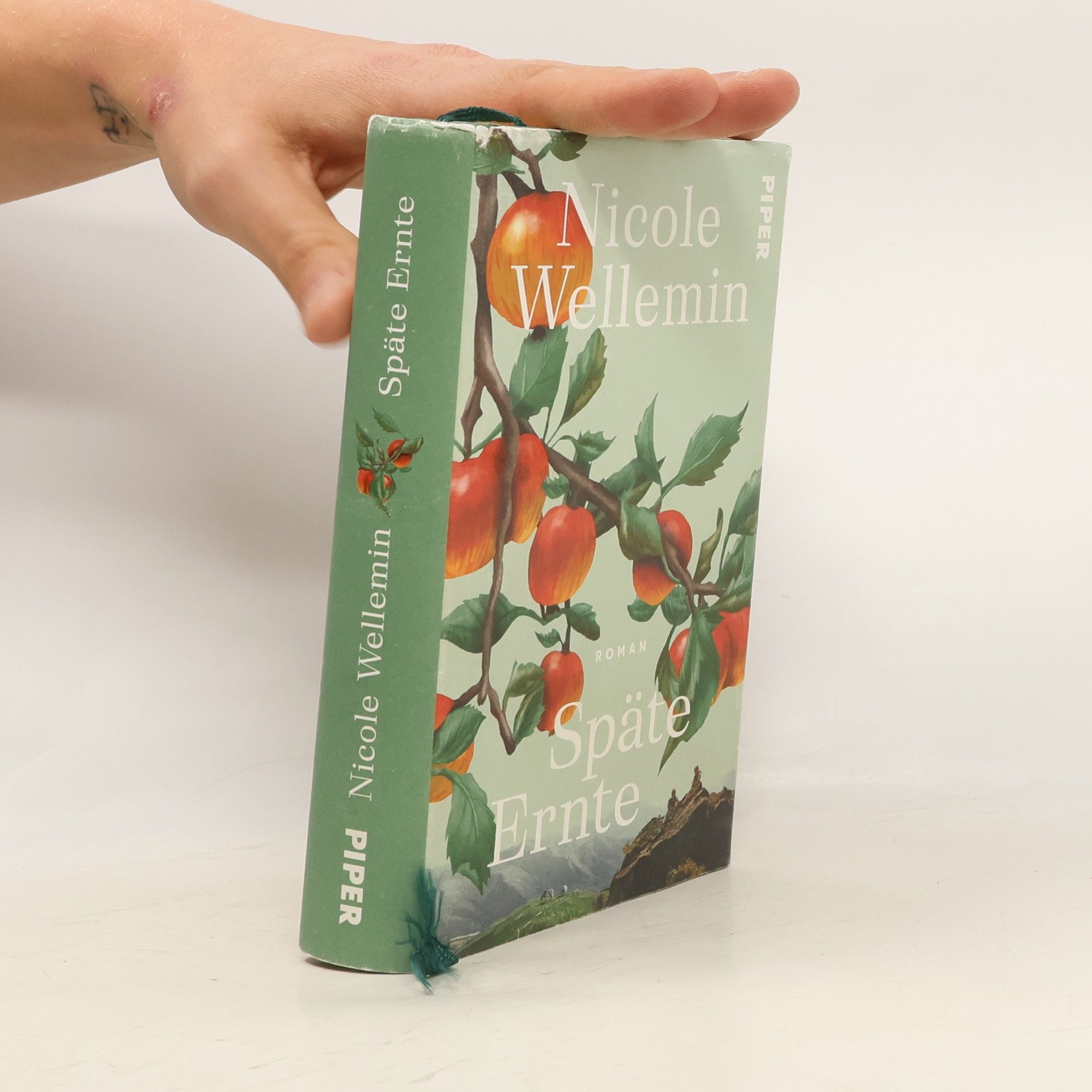 Nicole Wellemin Späte Ernte