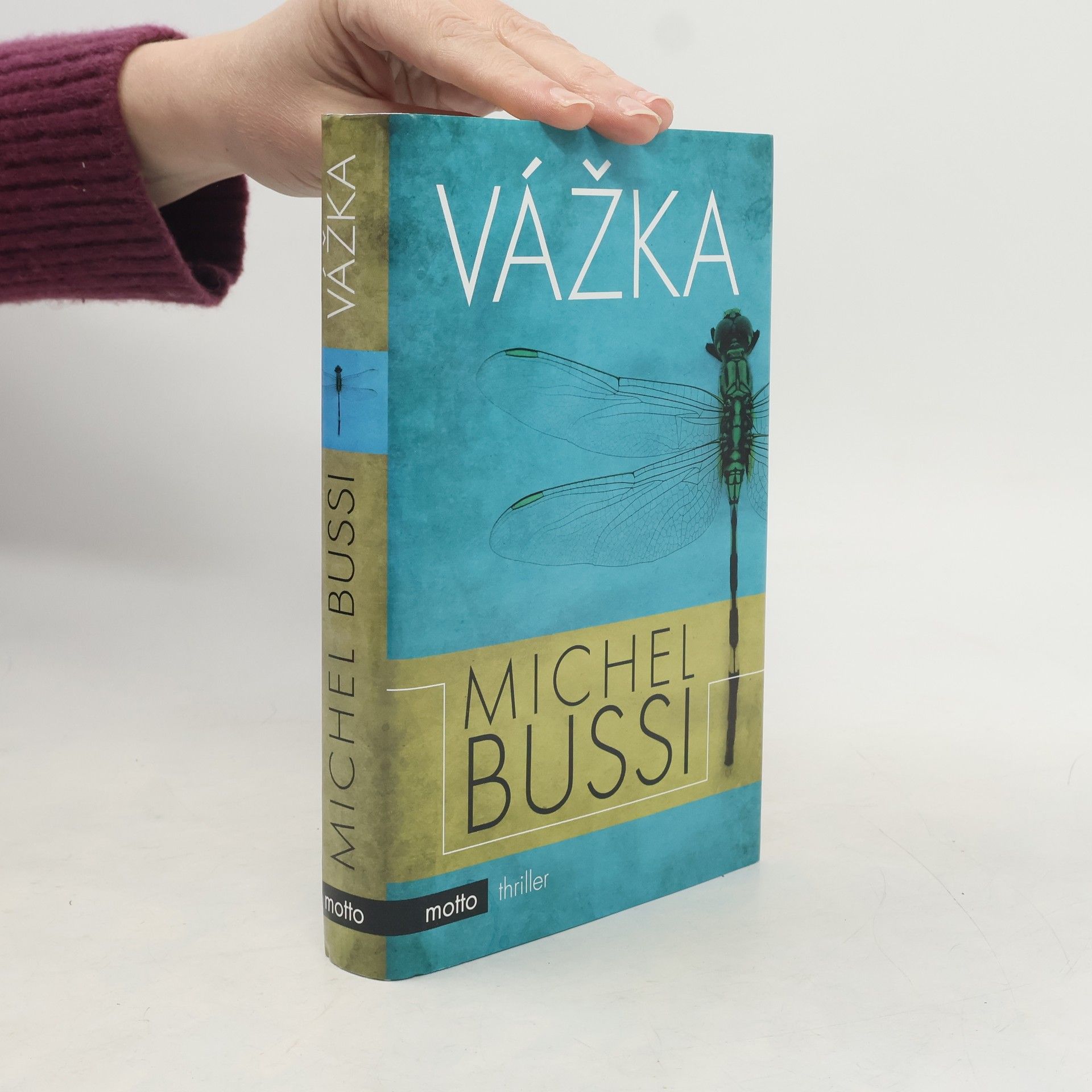 Michel Bussi Vážka