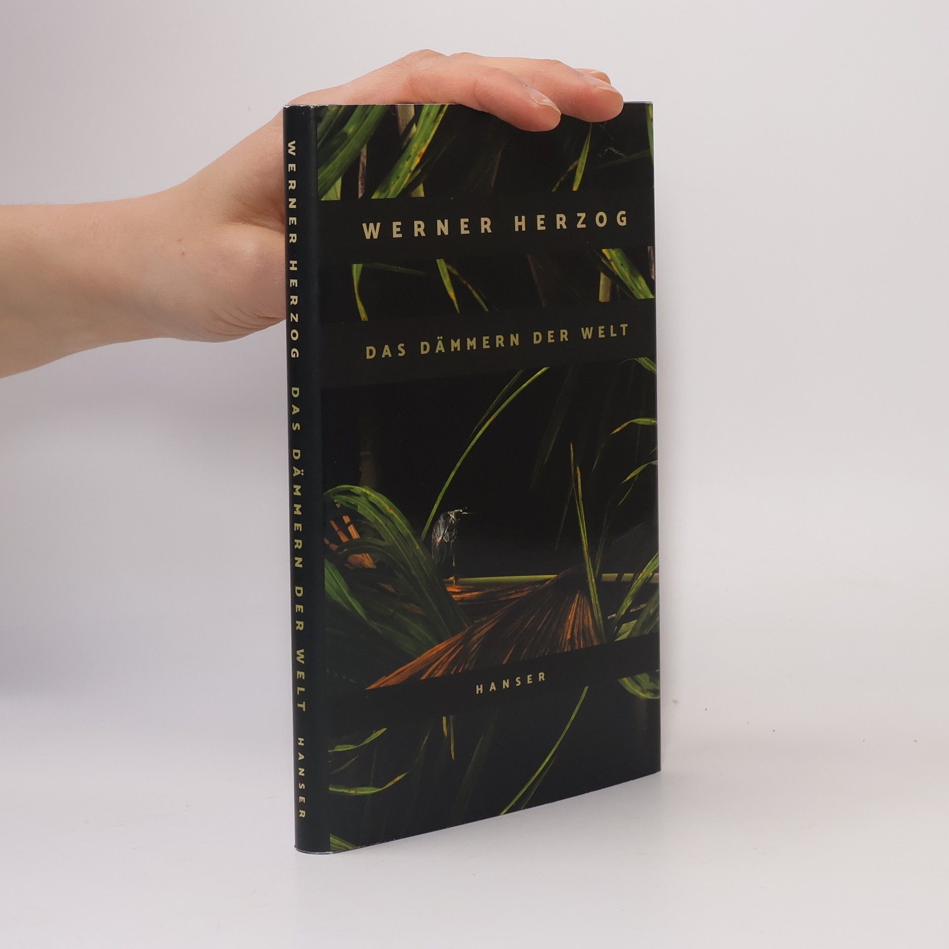 Werner Herzog Das Dämmern der Welt