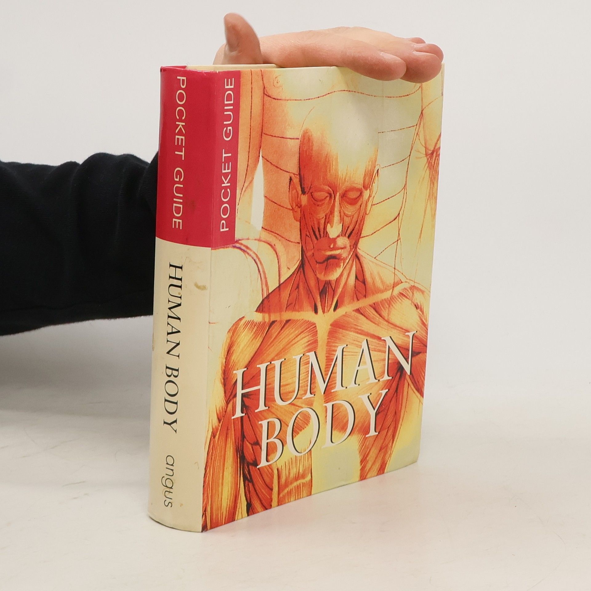 Autores varios Human Body