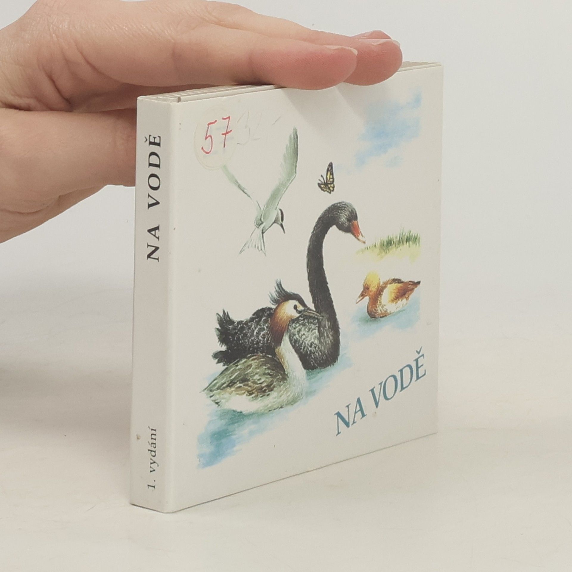 Kolektiv autorů Na vodě