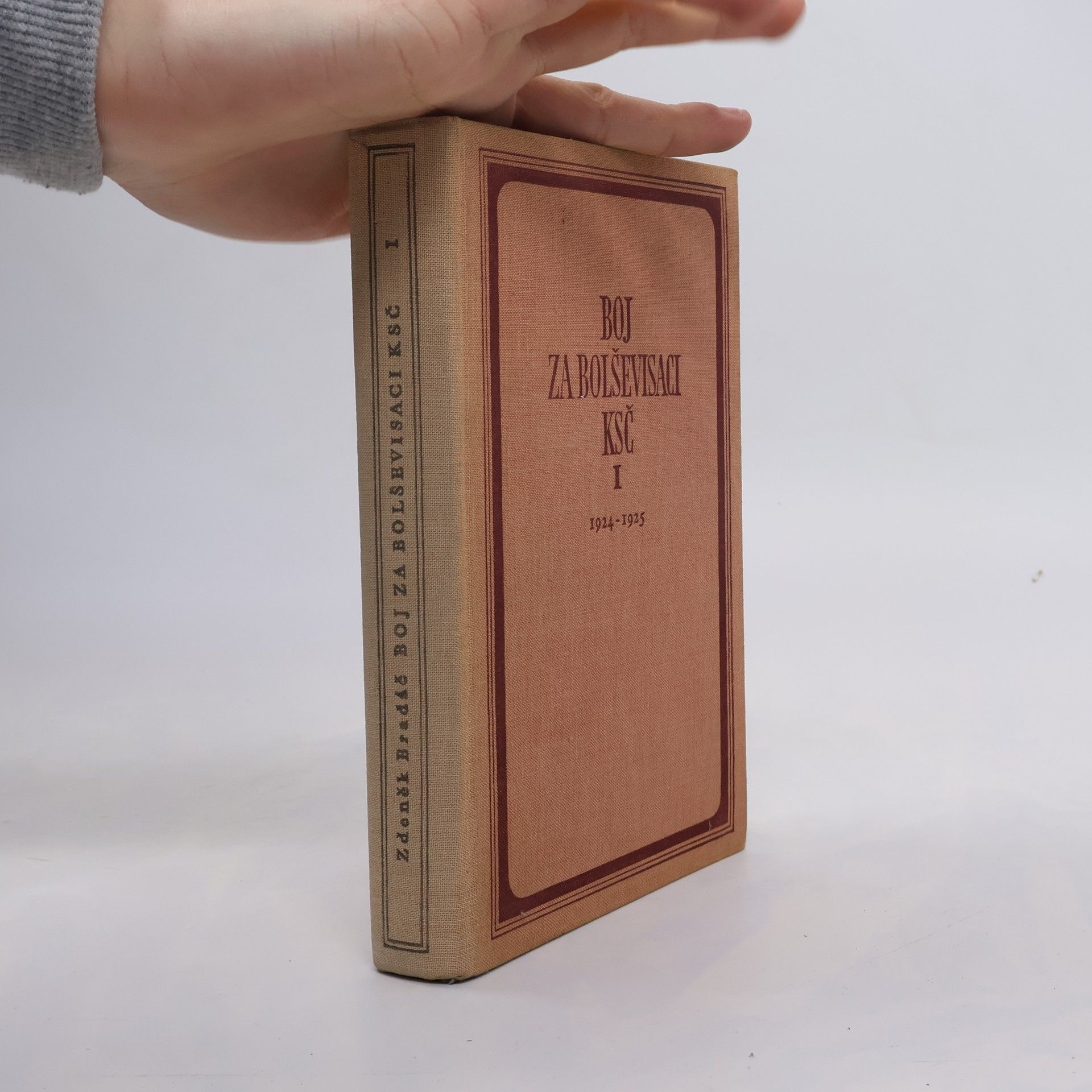 Zdeněk Bradáč Boj za bolševisaci KSČ I (1924-1925).